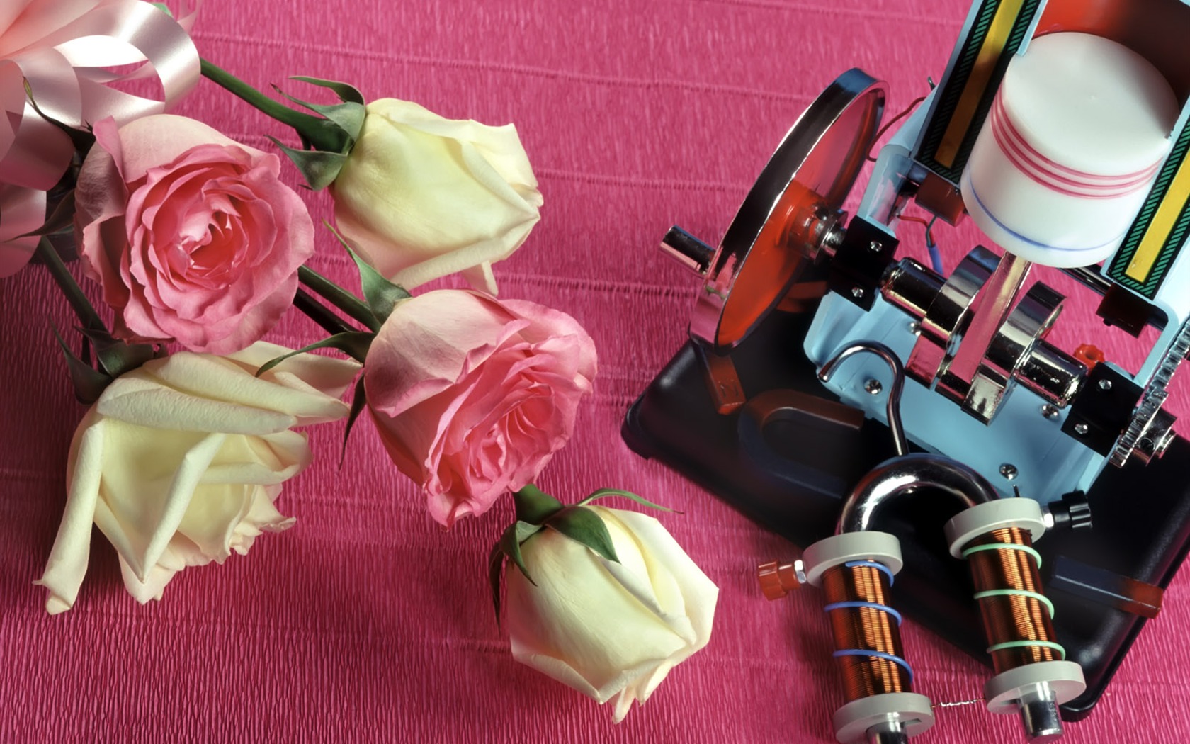 Flowers and Instrument wallpaper #11 - 1680x1050