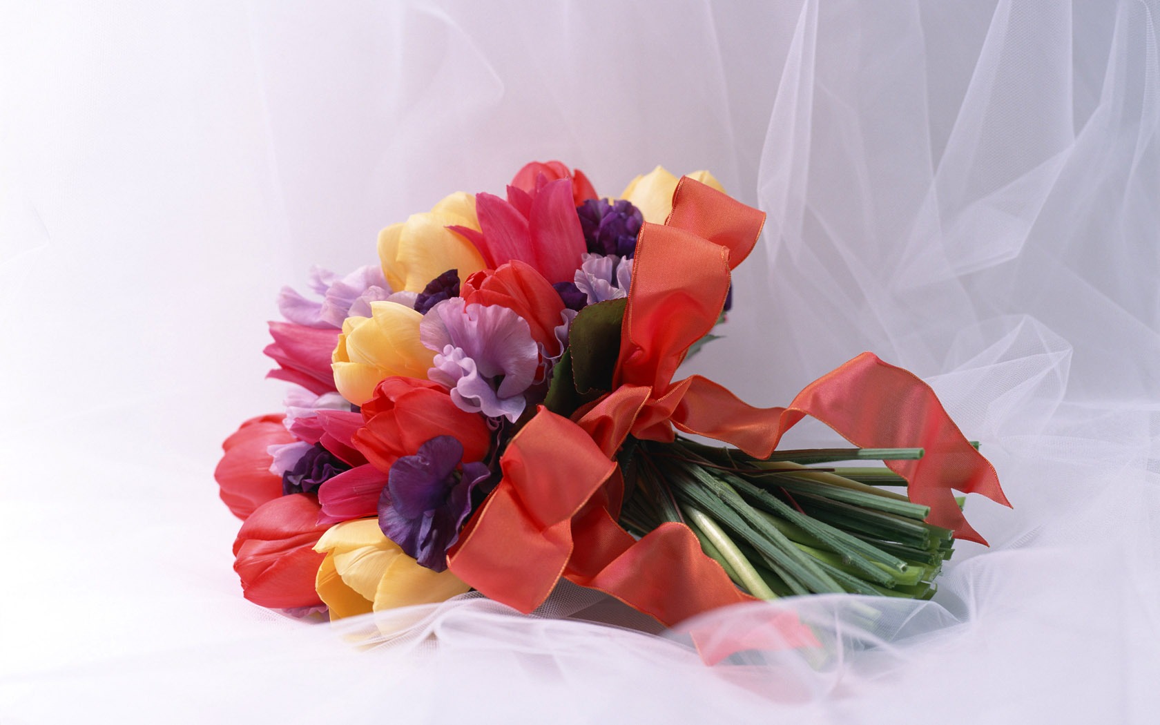 Flowers Widescreen Wallpaper #17 - 1680x1050