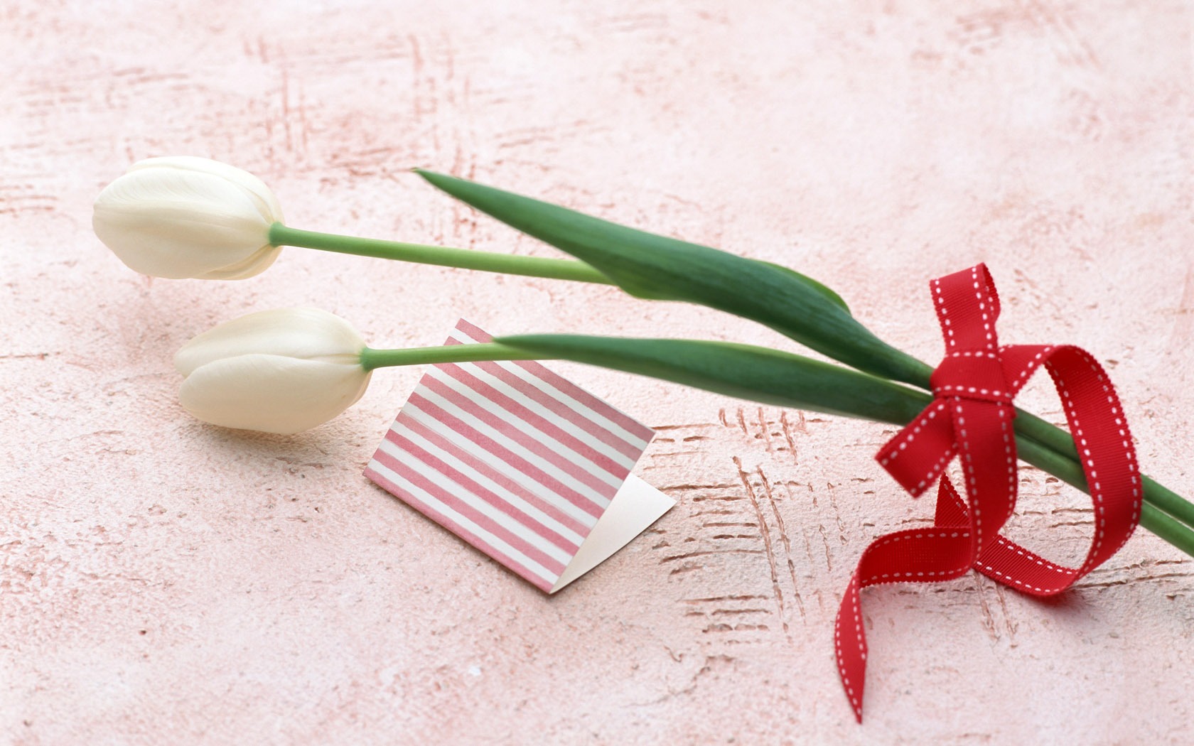 Flowers Widescreen Wallpaper #18 - 1680x1050