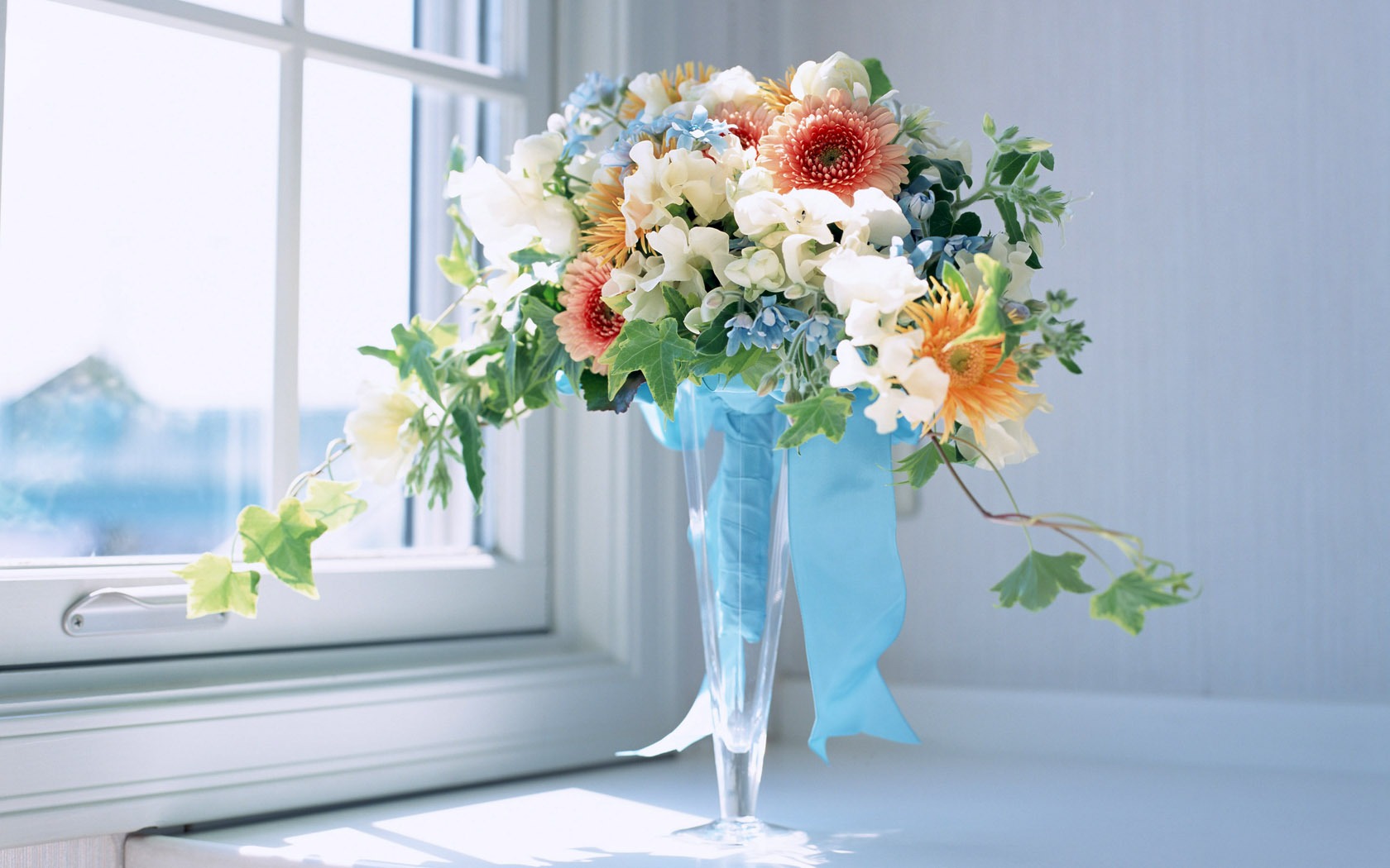 Flowers Widescreen Wallpaper #19 - 1680x1050