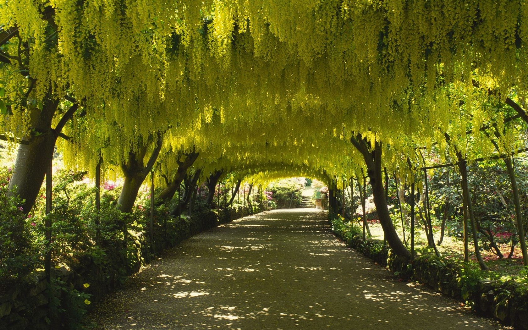 Garden Art Wallpapers #18 - 1680x1050