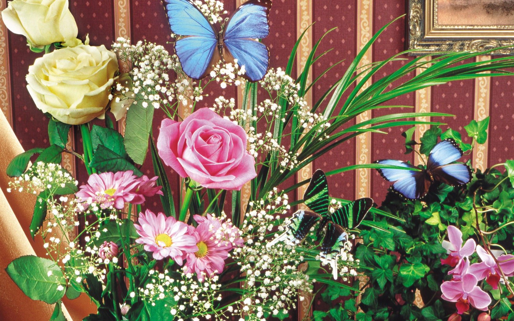motýli a květiny tapety album (2) #18 - 1680x1050