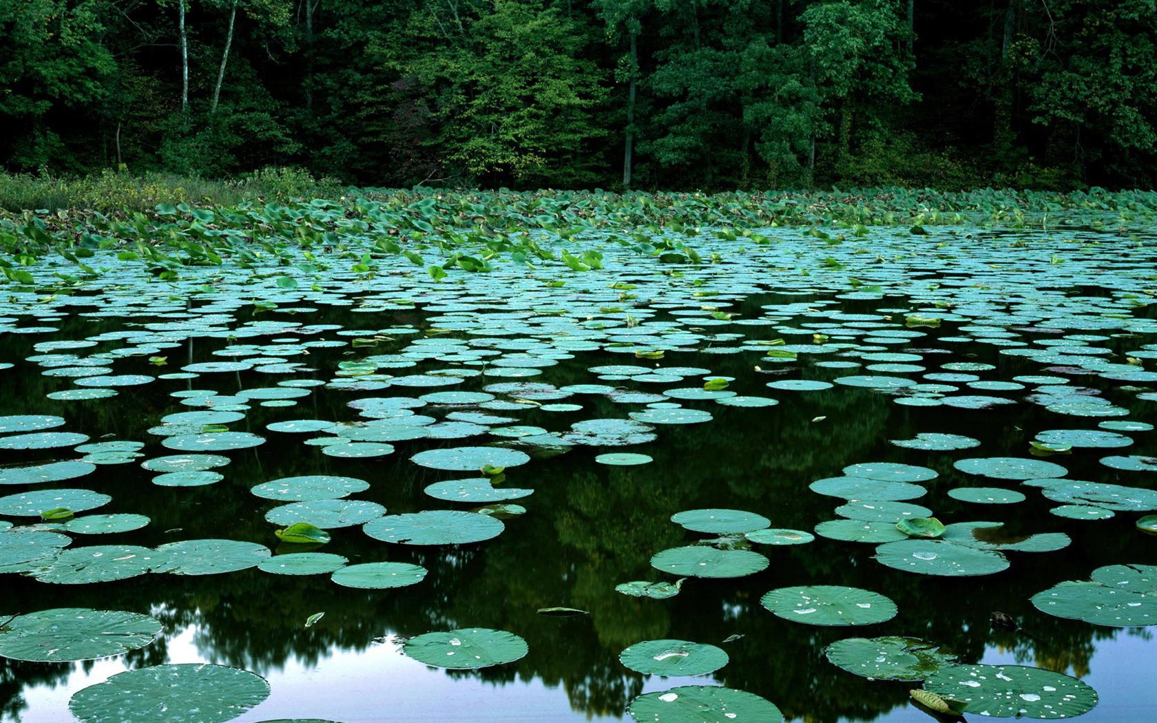 Webshots landscape photography wallpaper #12 - 1680x1050