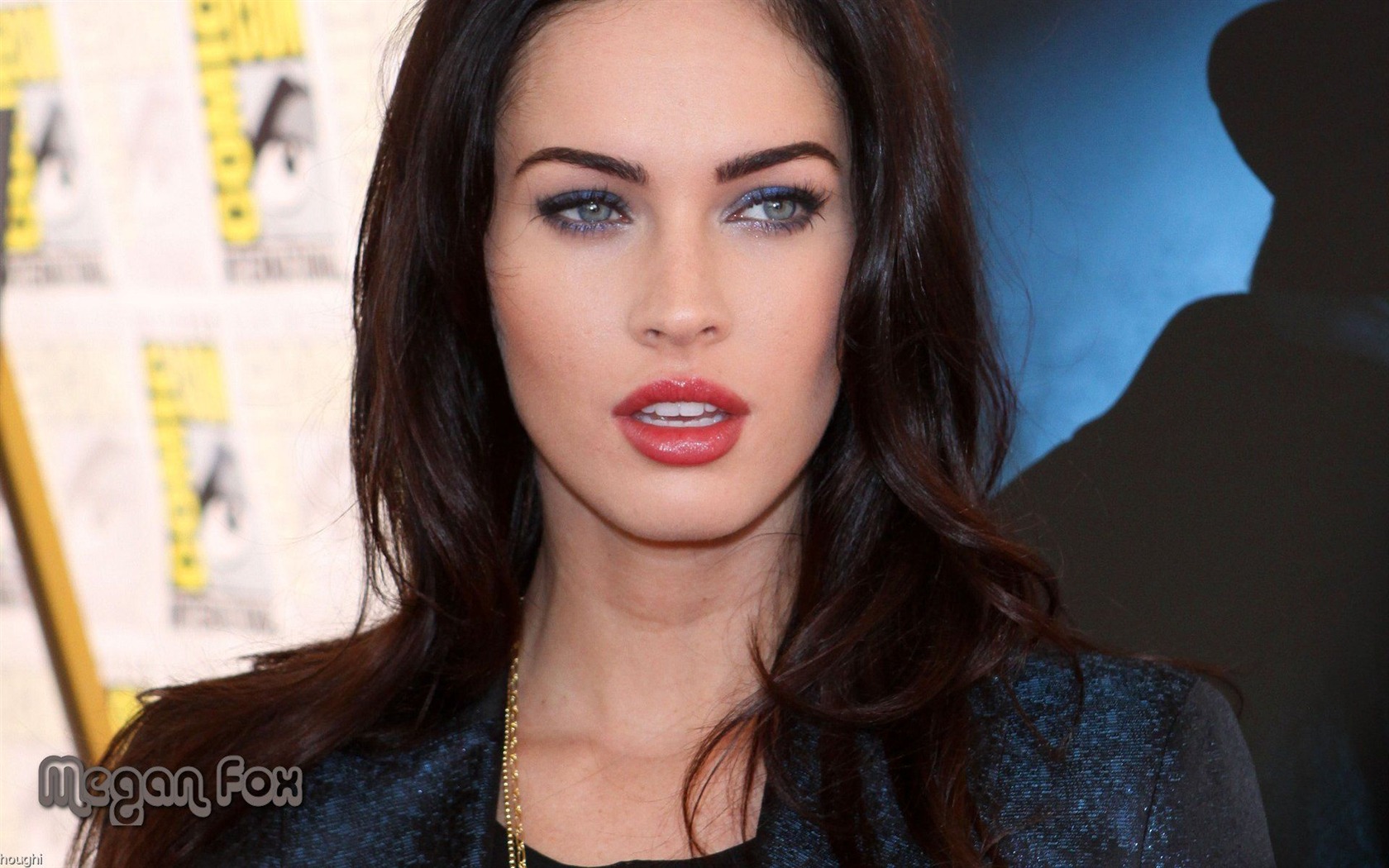 Megan Fox hermoso fondo de pantalla #18 - 1680x1050