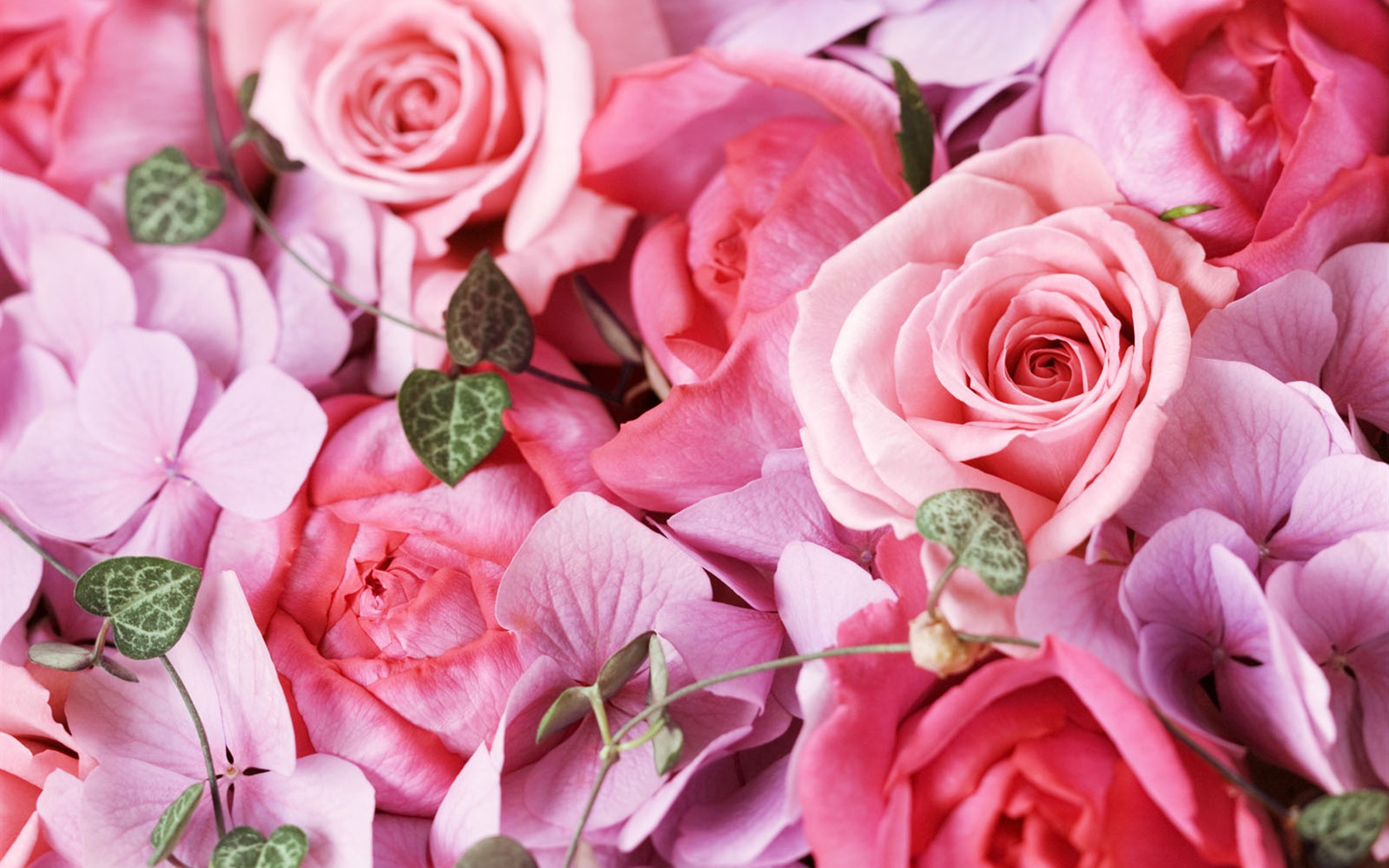 Wedding Flowers Wallpapers (3) #1 - 1680x1050