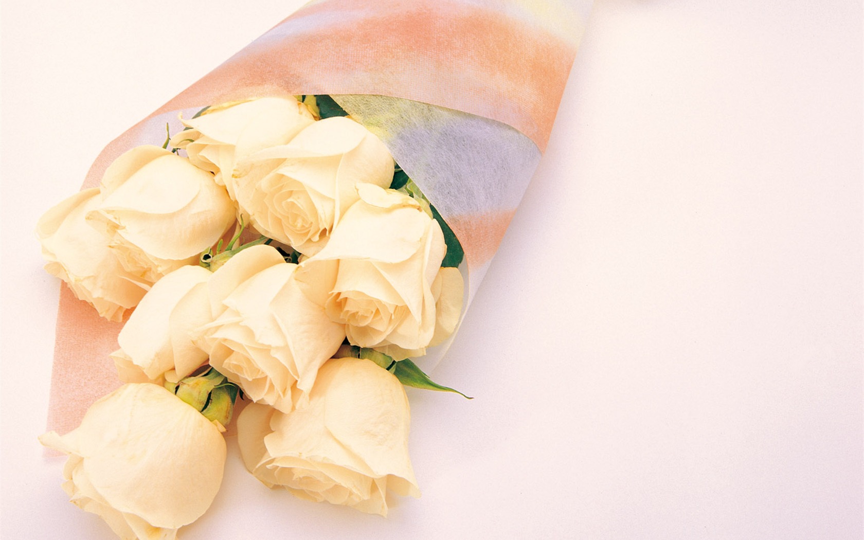 Rose Photo Wallpaper (1) #3 - 1680x1050
