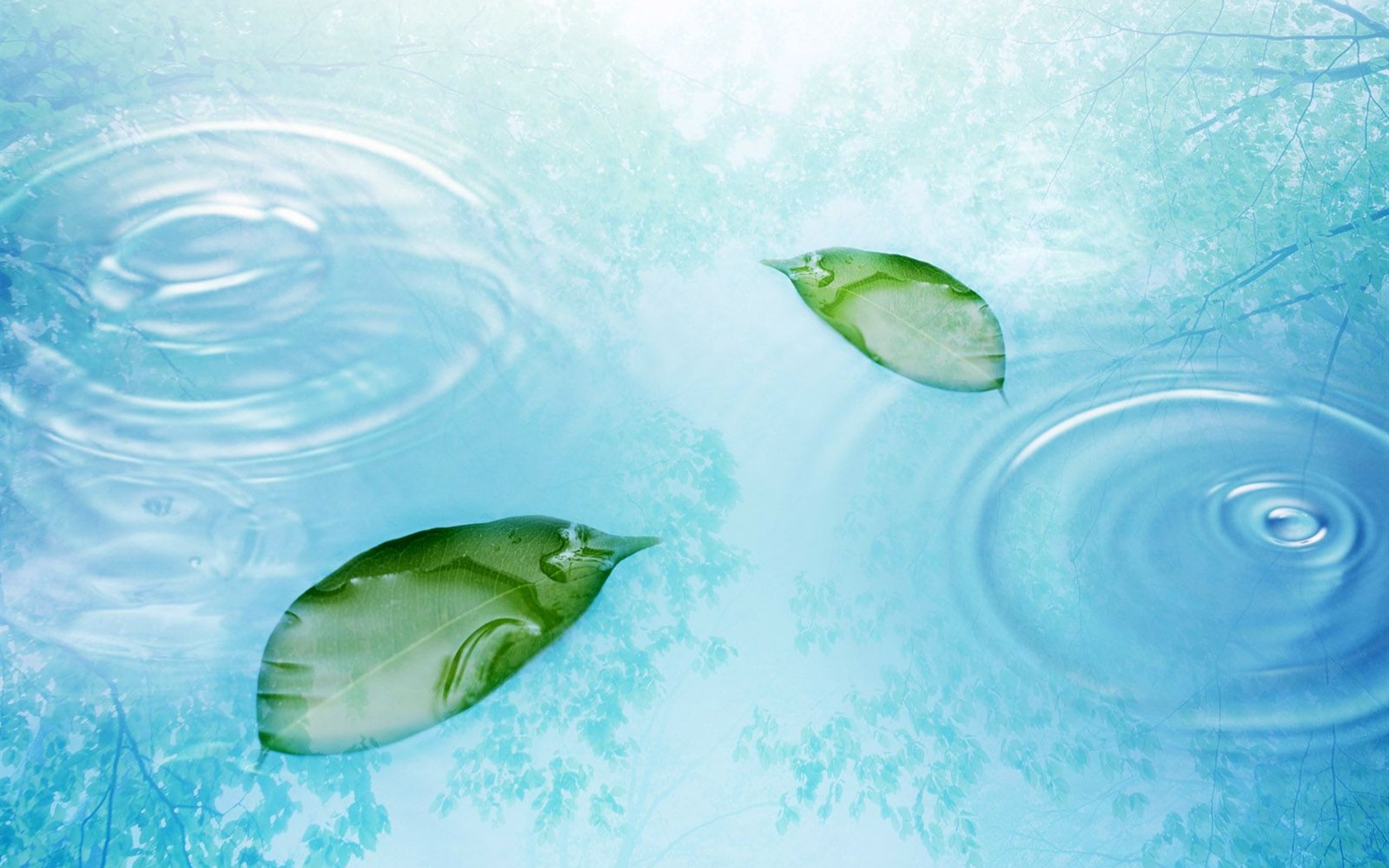 Watermark fresh green leaf wallpaper #5 - 1680x1050