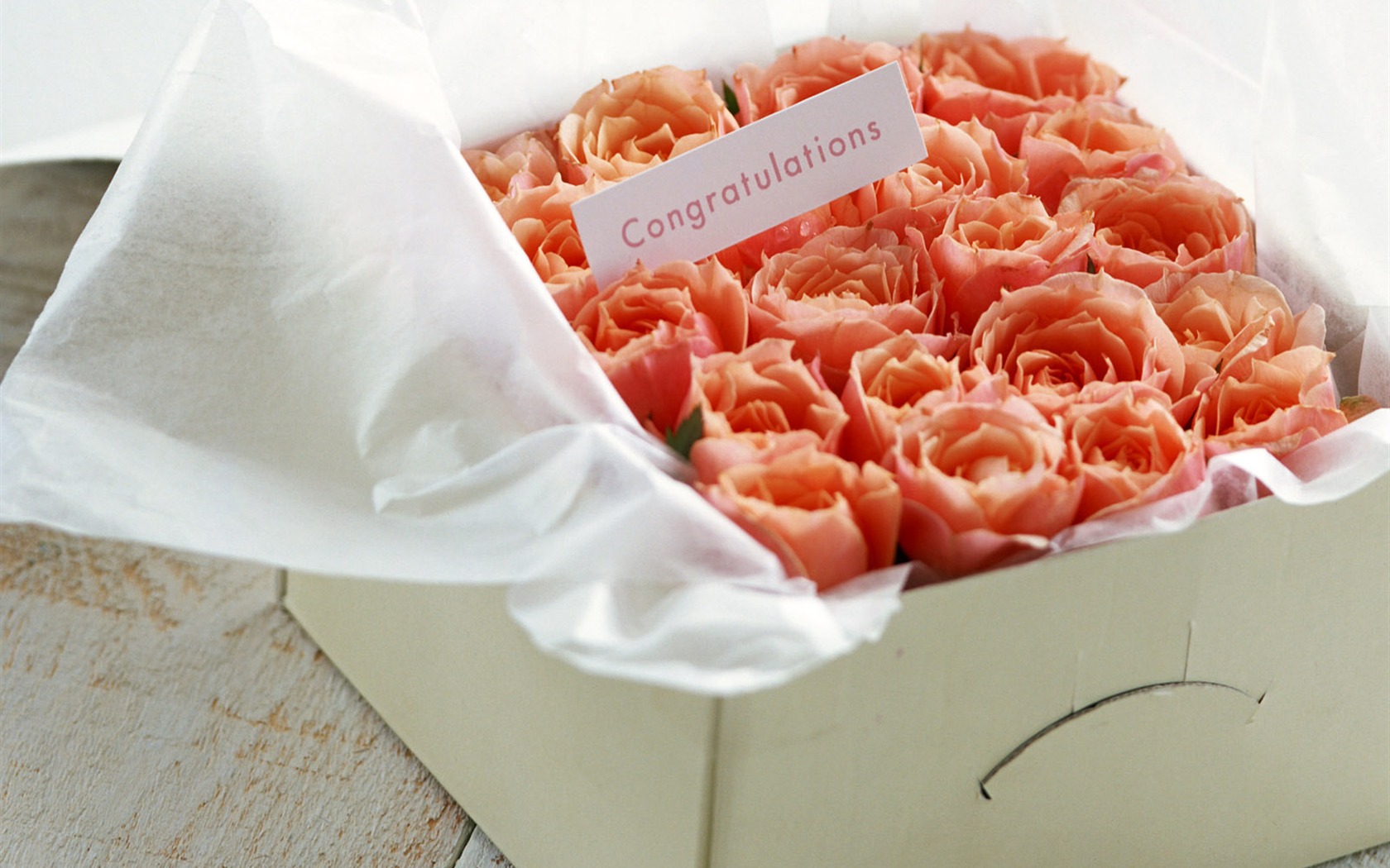 Flowers and gifts wallpaper (1) #10 - 1680x1050