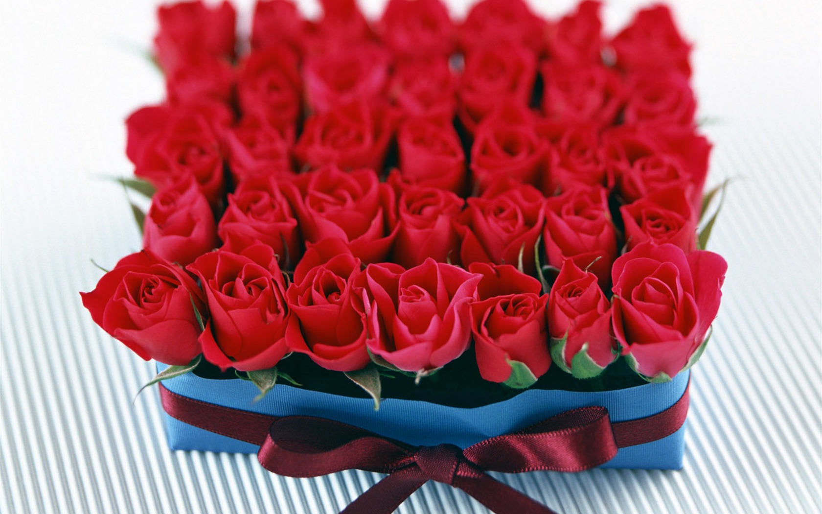 Flowers and gifts wallpaper (1) #12 - 1680x1050