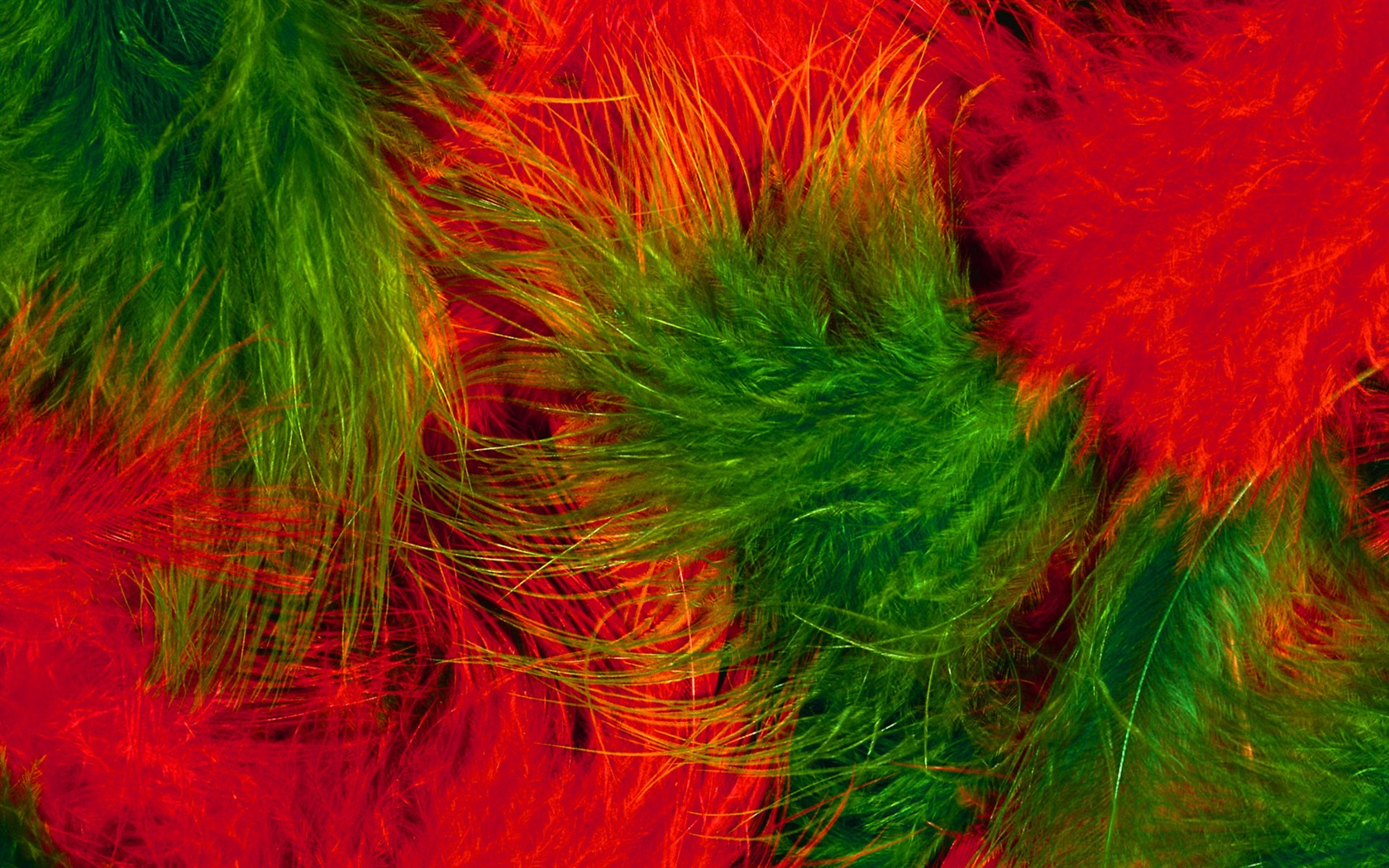 Colorful feather wings close-up wallpaper (1) #9 - 1680x1050