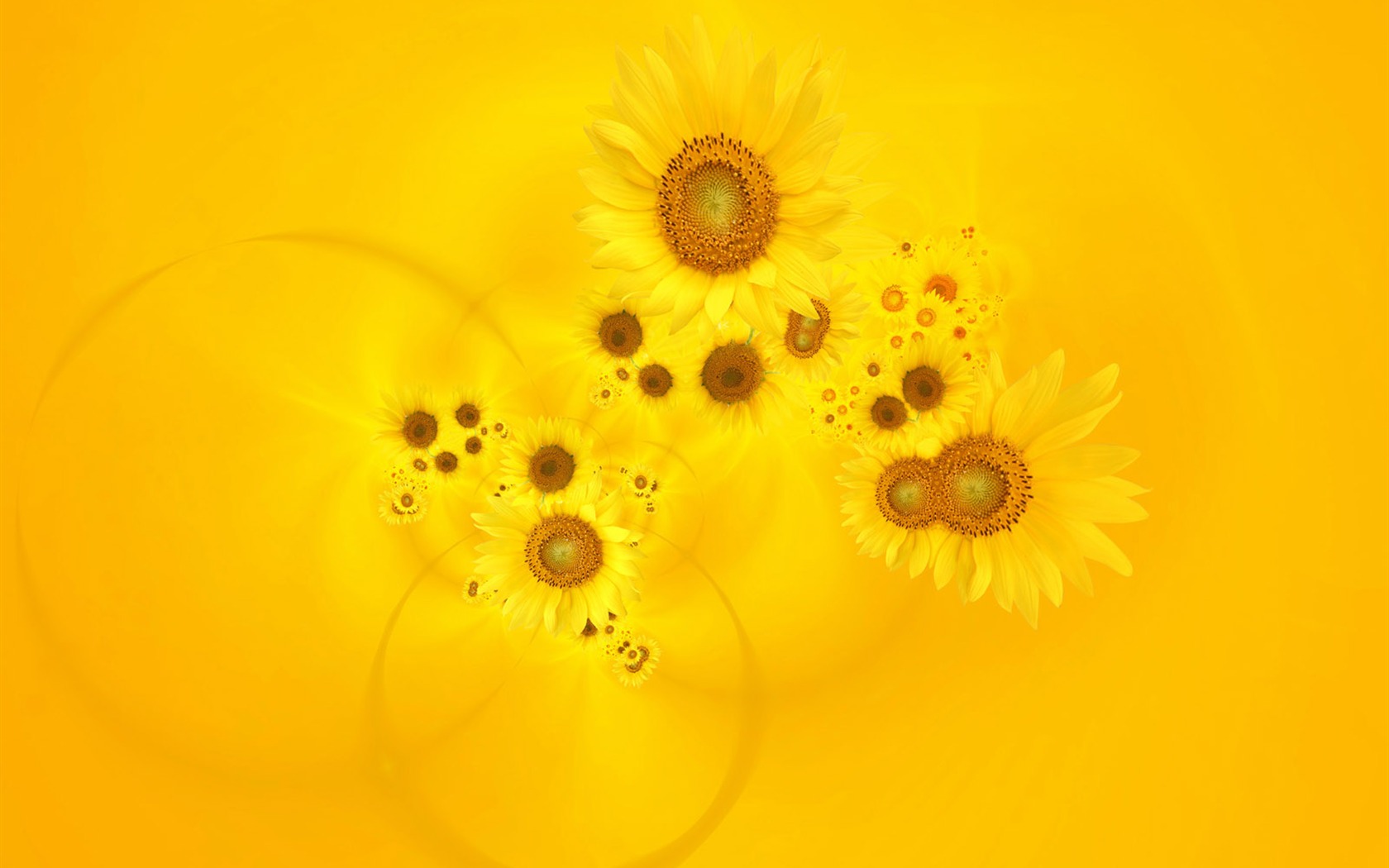 Synthetic Flower Wallpapers (2) #20 - 1680x1050