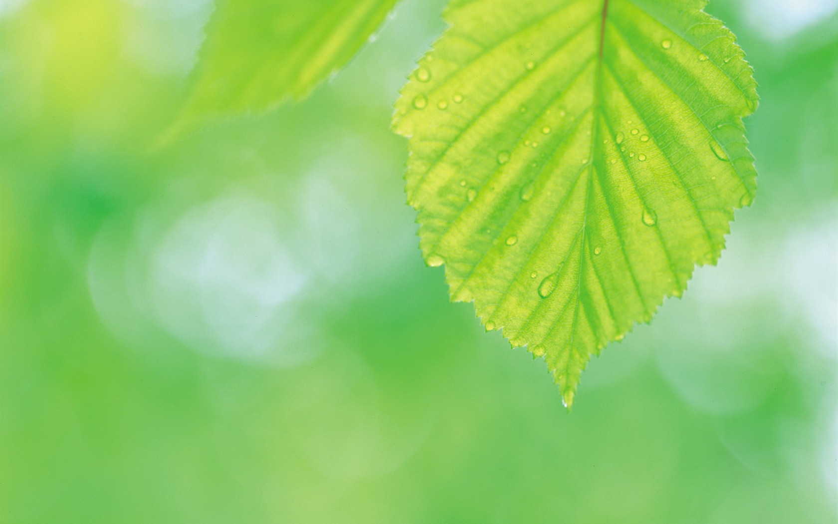 韓國自然風光 #42 - 1680x1050