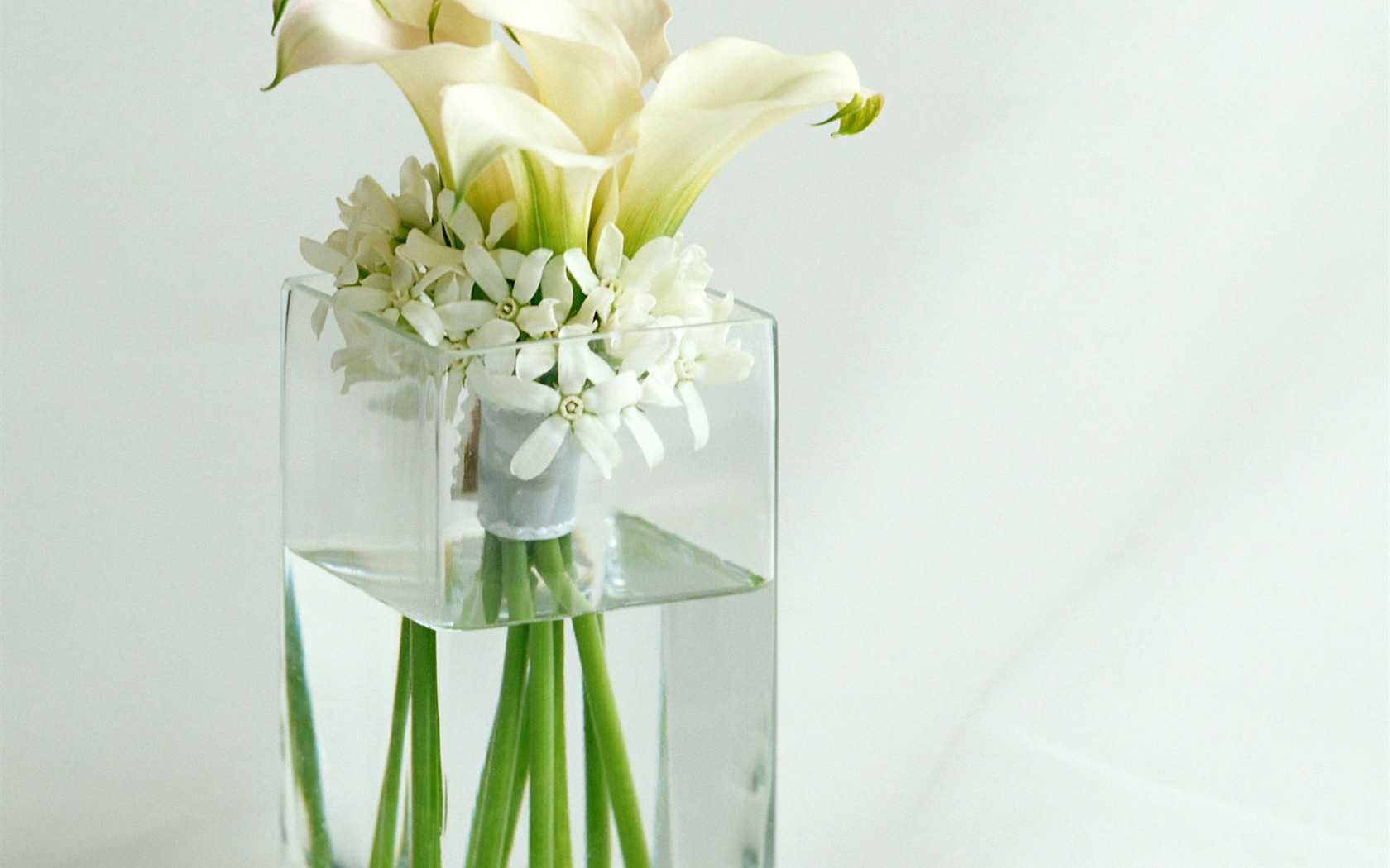 Flowers and gifts wallpaper (2) #16 - 1680x1050