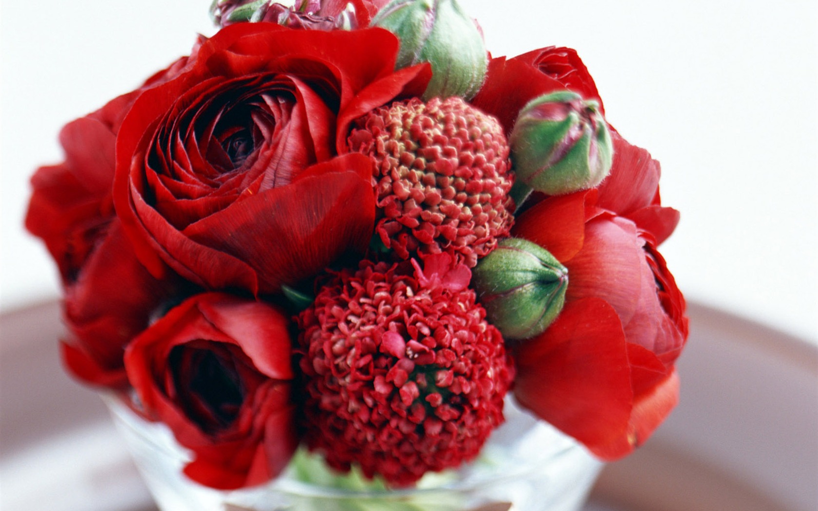 Flowers and gifts wallpaper (2) #18 - 1680x1050