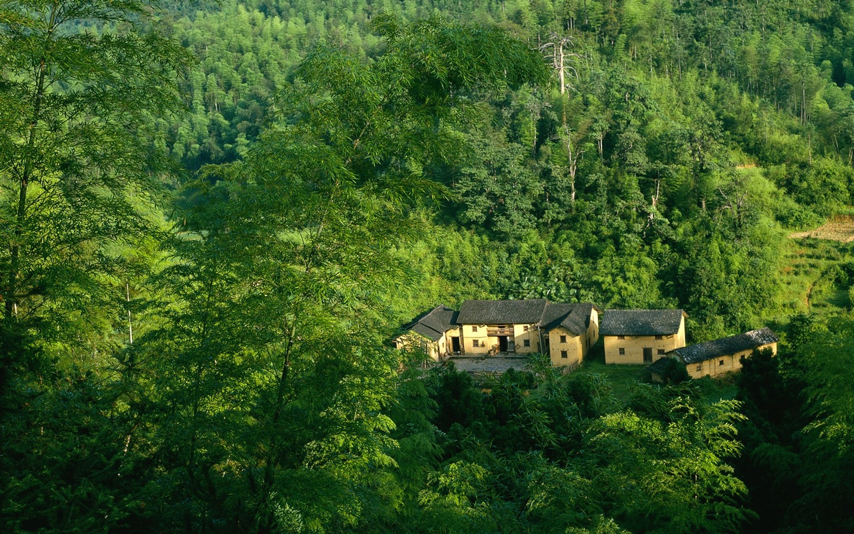 Tapety Krajina Kolekce (3) #18 - 1680x1050