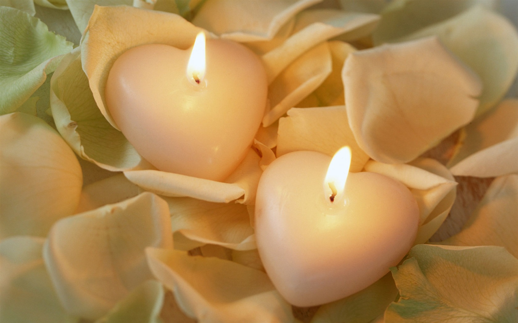 Candlelit wallpaper (5) #20 - 1680x1050