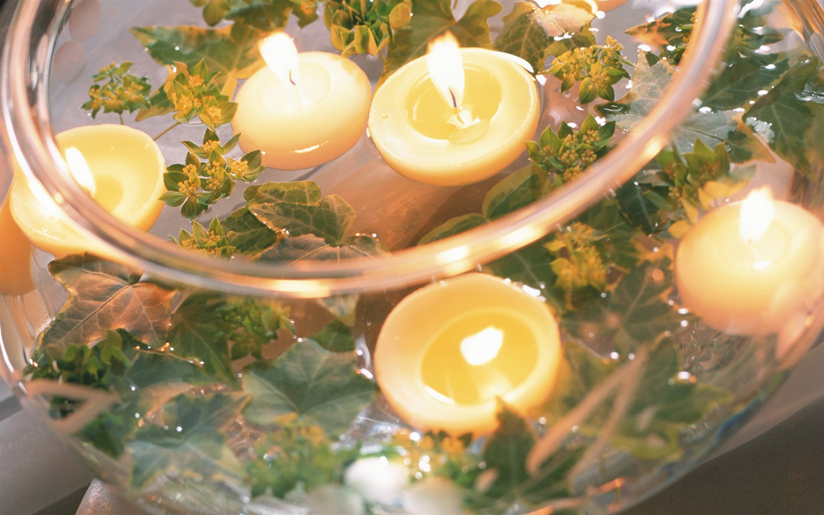 Candlelit wallpaper (6) #18 - 1680x1050