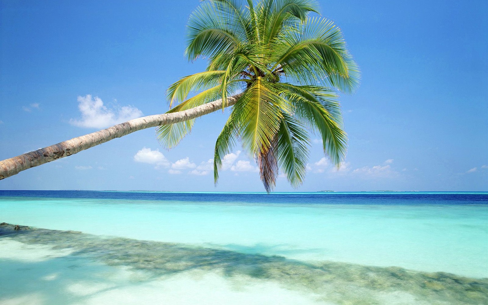 Beach ostrov tapety (2) #27 - 1680x1050