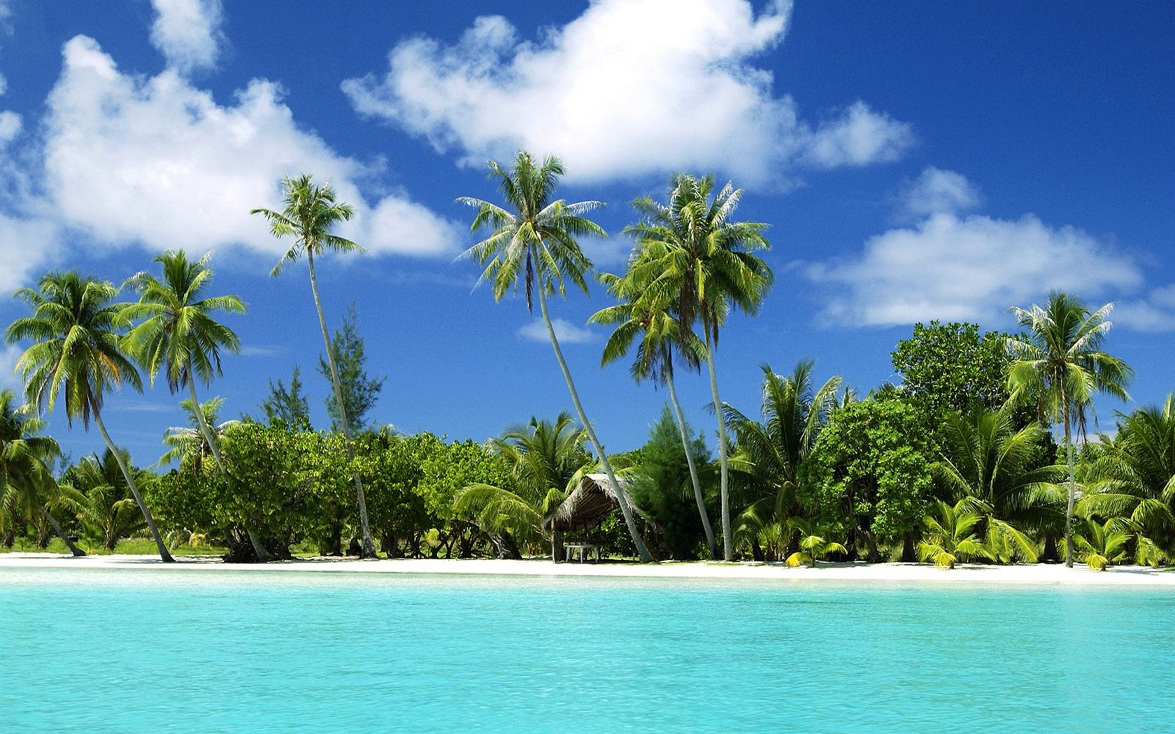 Beach ostrov tapety (2) #29 - 1680x1050