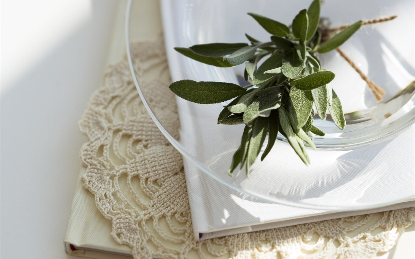 Indoor floral wallpaper (4) #9 - 1680x1050