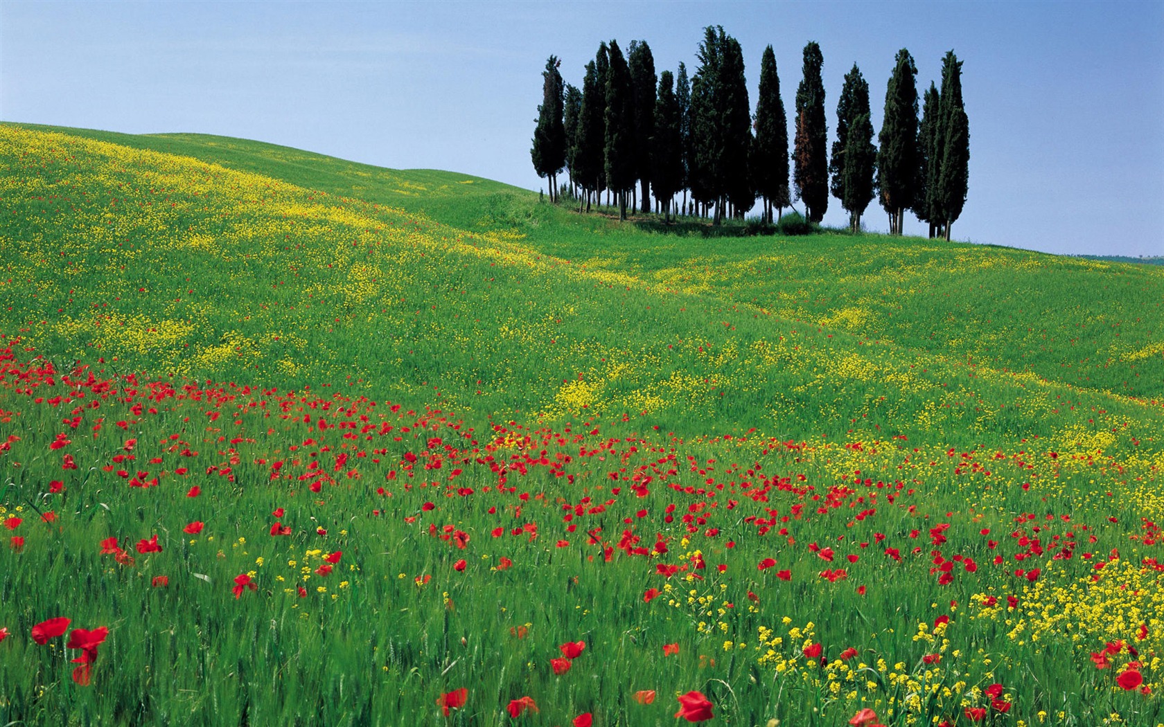 Italian Landscape wallpaper (1) #19 - 1680x1050