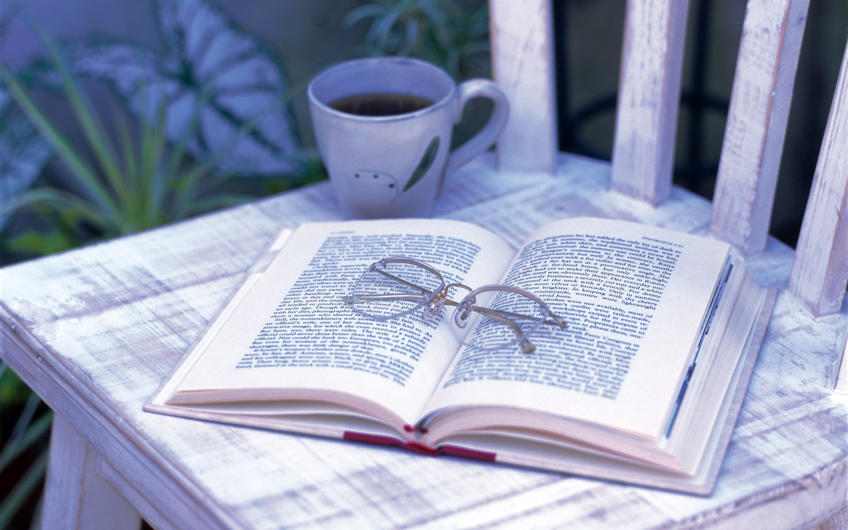 Home Still Life Wallpaper (17) #15 - 1680x1050