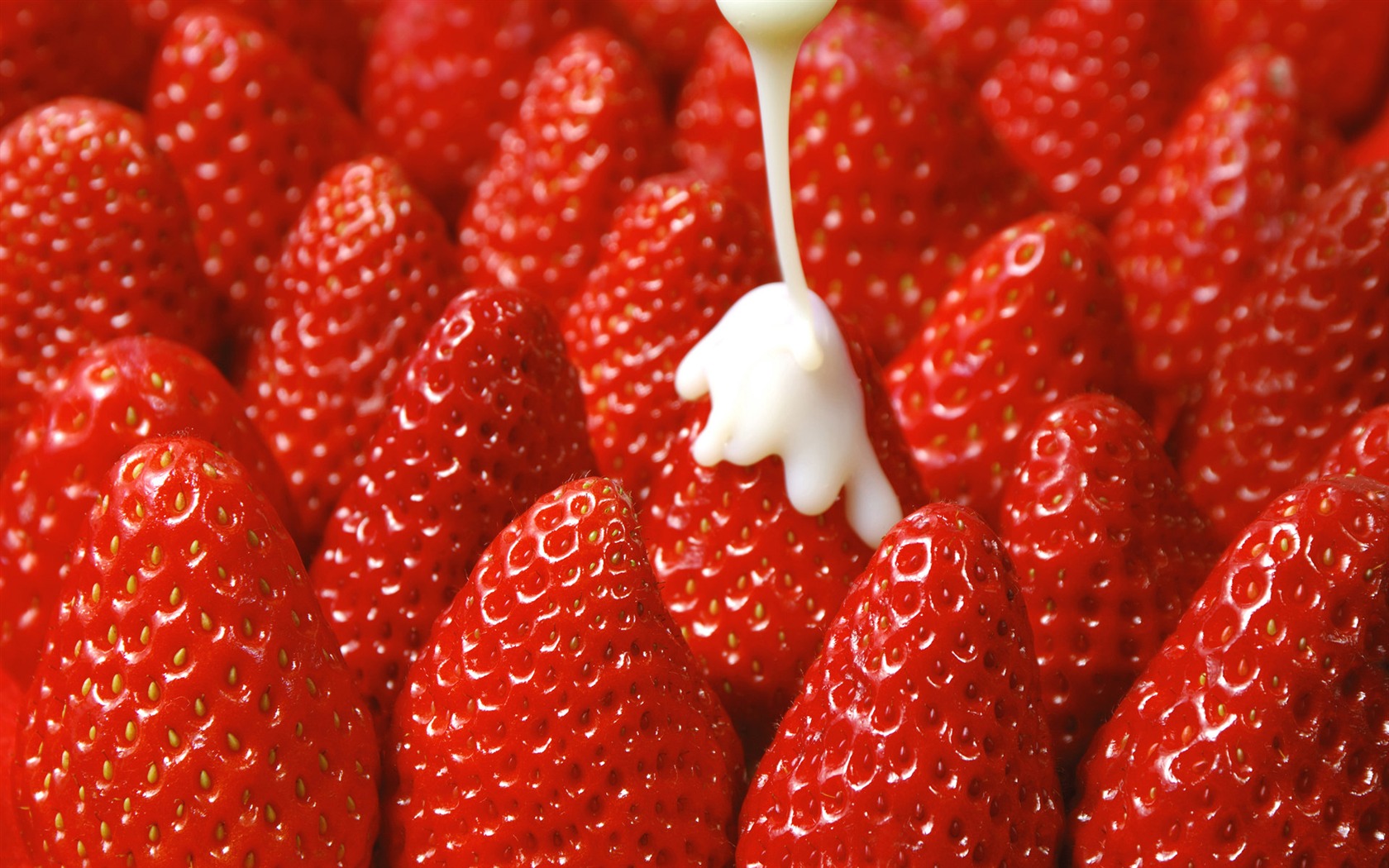 HD Wallpaper frischen Erdbeeren #16 - 1680x1050