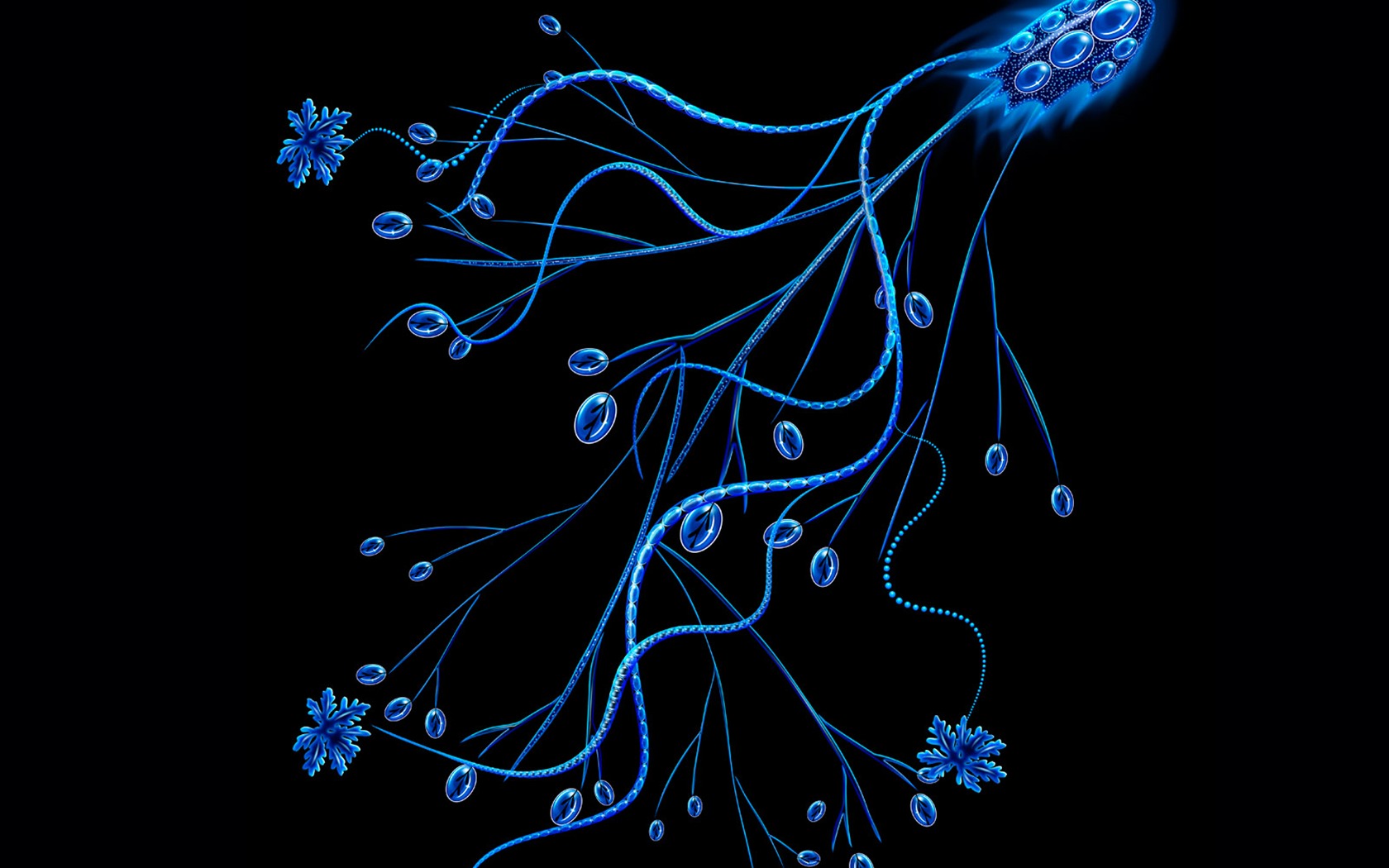 炫彩花纹 壁纸(三)6 - 1680x1050