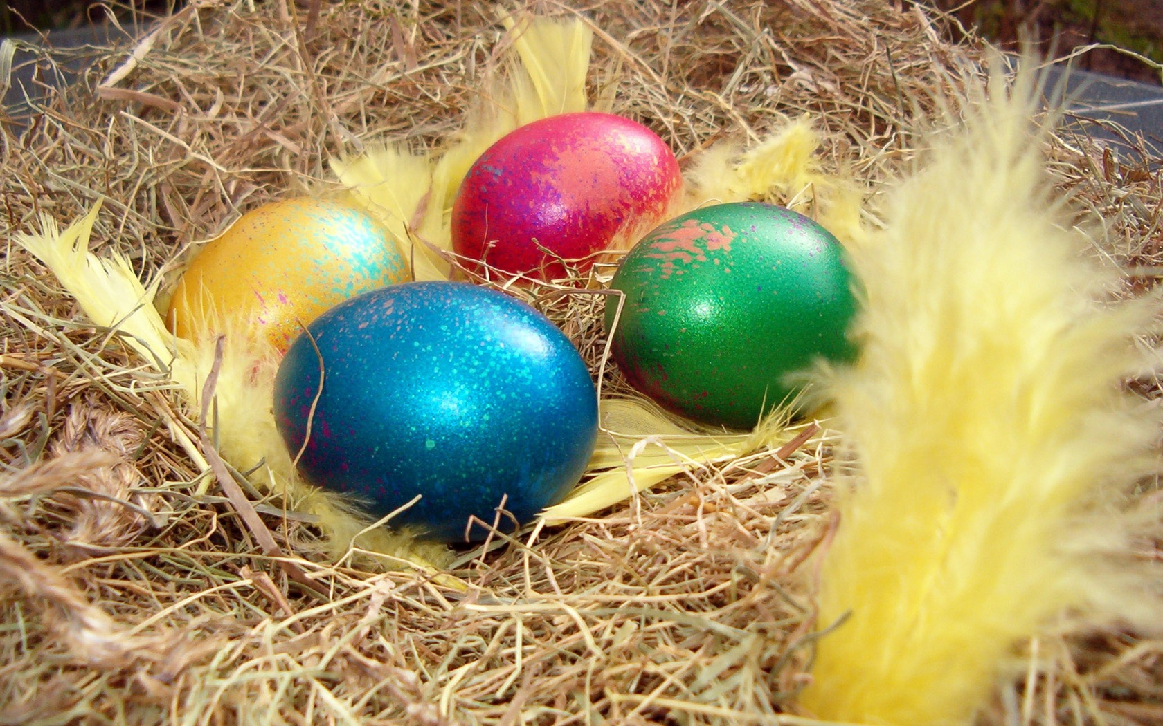 Easter Egg fond d'écran (4) #1 - 1680x1050