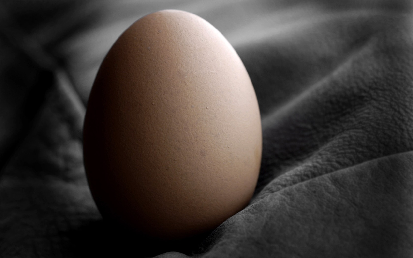 Easter Egg fond d'écran (4) #16 - 1680x1050