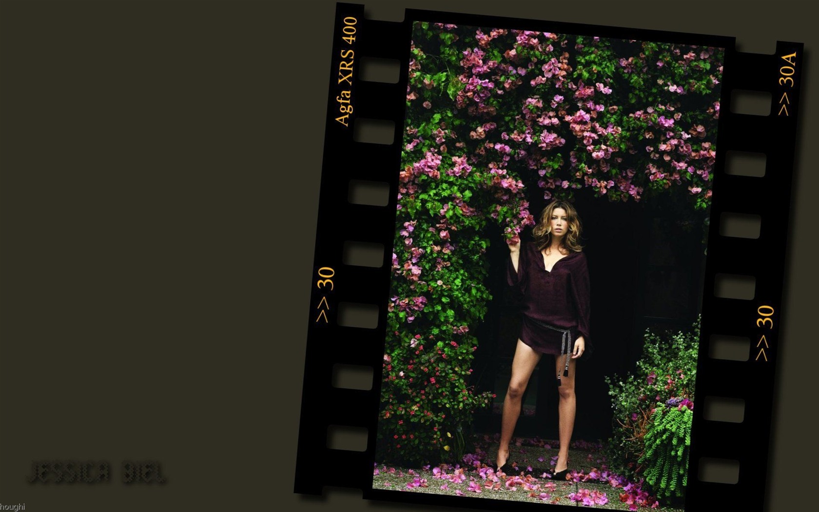 Jessica Biel hermoso fondo de pantalla #24 - 1680x1050