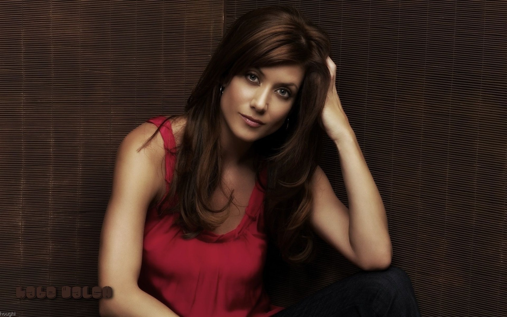 Kate Walsh schöne Tapete #5 - 1680x1050