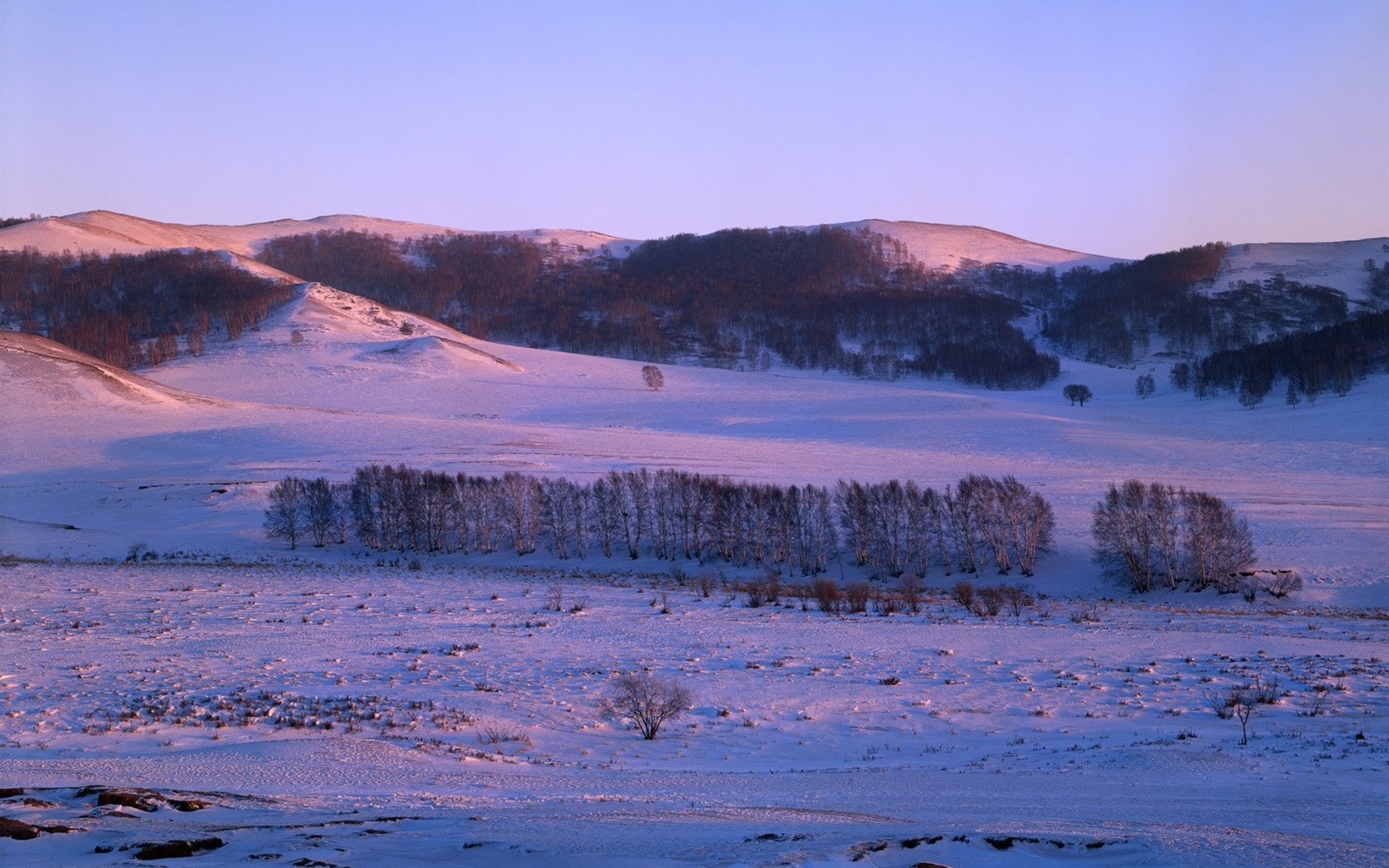 冬天雪景壁纸34 - 1680x1050