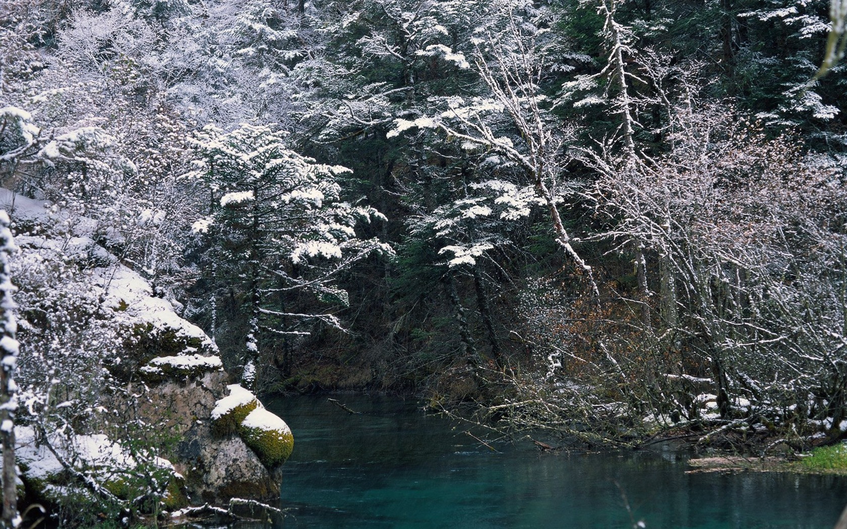 Zimní sníh tapety #37 - 1680x1050