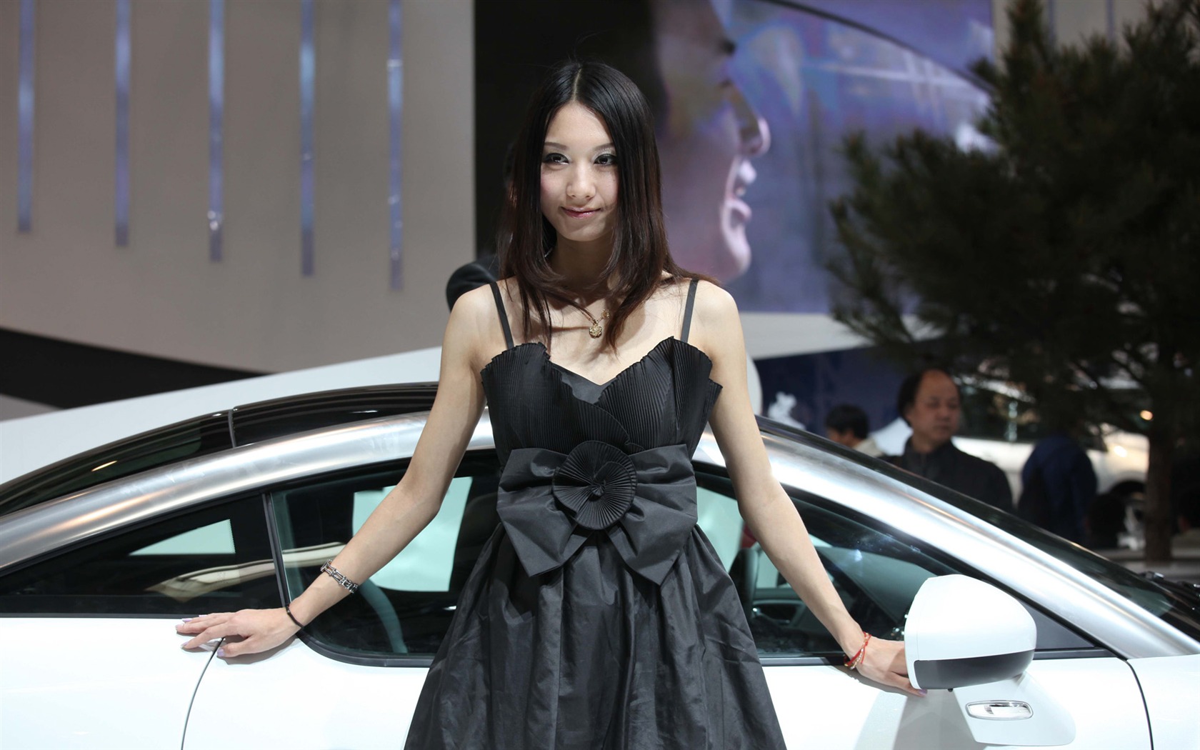 2010 Beijing International Auto Show beauty (2) (the wind chasing the clouds works) #38 - 1680x1050