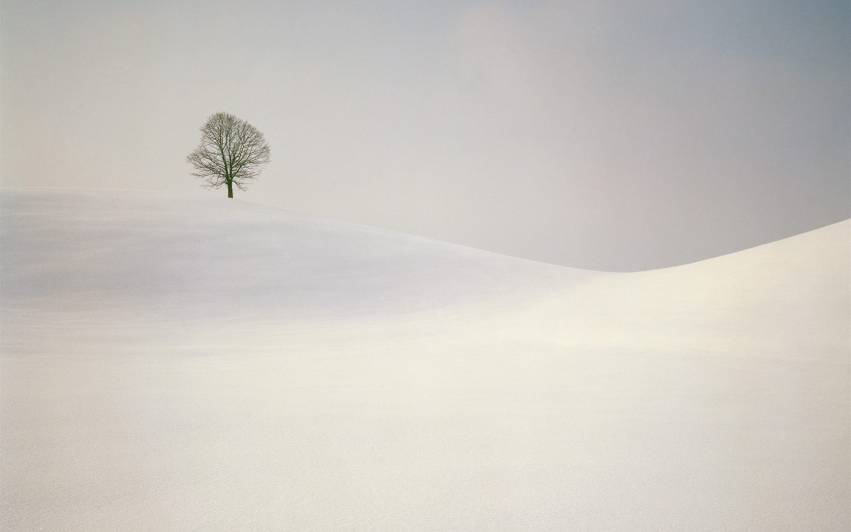 冬天雪景壁紙(二) #17 - 1680x1050
