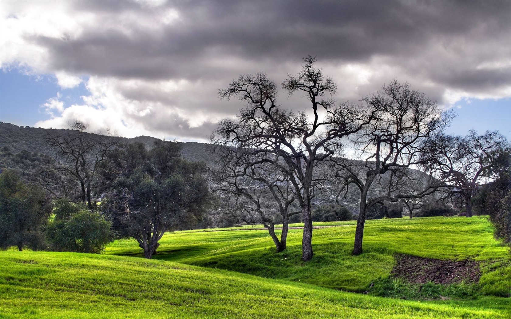 Beautifully rendered scenery wallpaper (1) #6 - 1680x1050