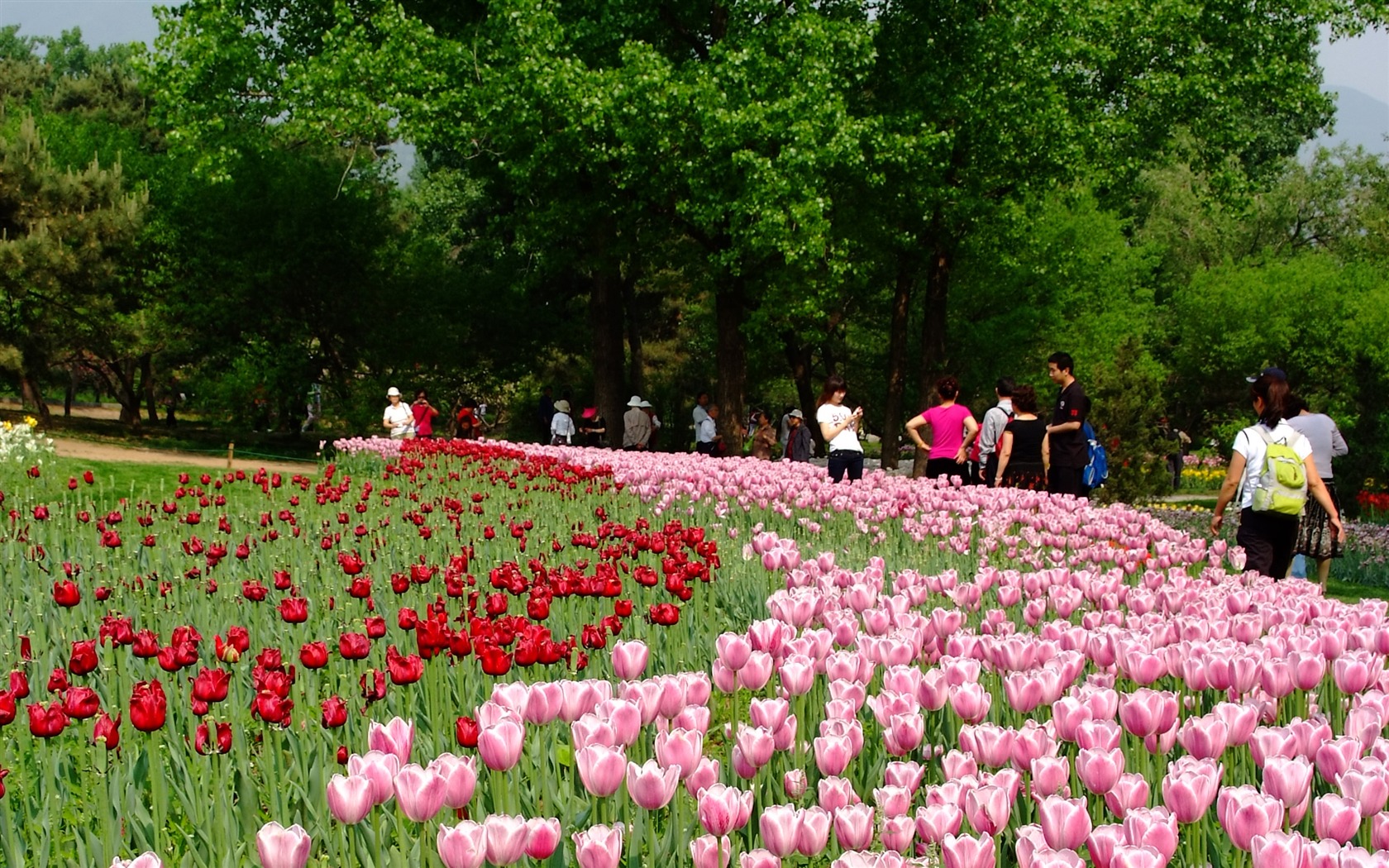 Xiangshan začátku letní zahrádka (prutu práce) #2 - 1680x1050