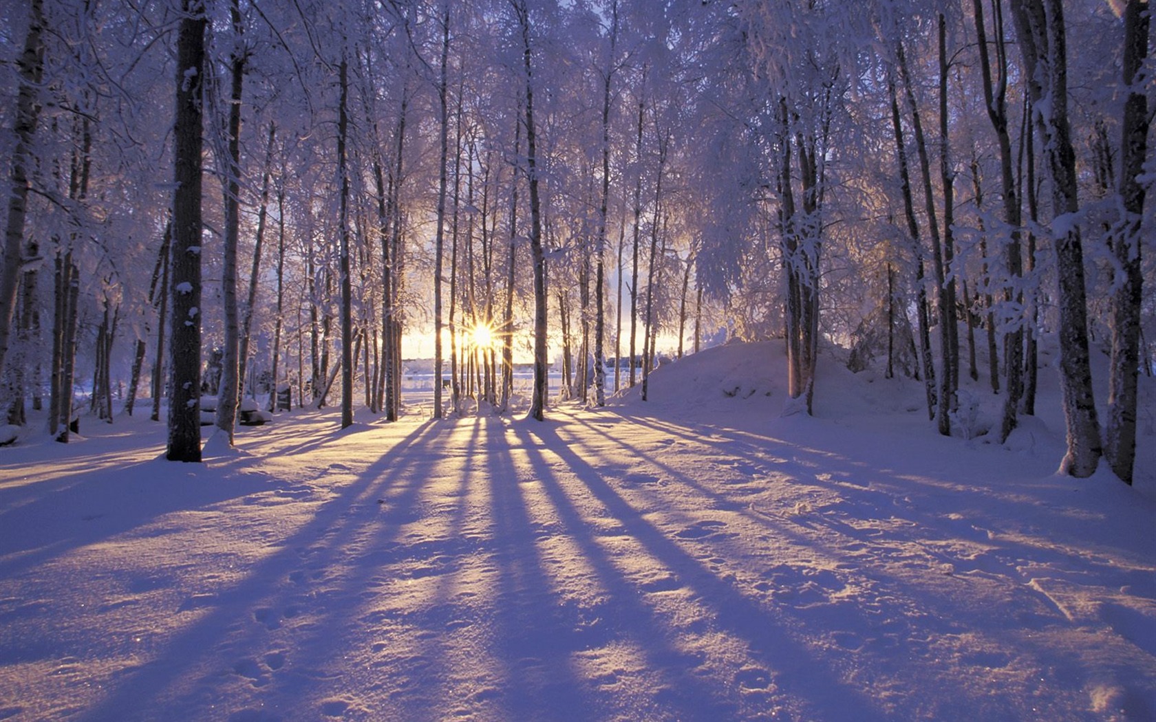 Winter Snow wallpaper (3) #9 - 1680x1050