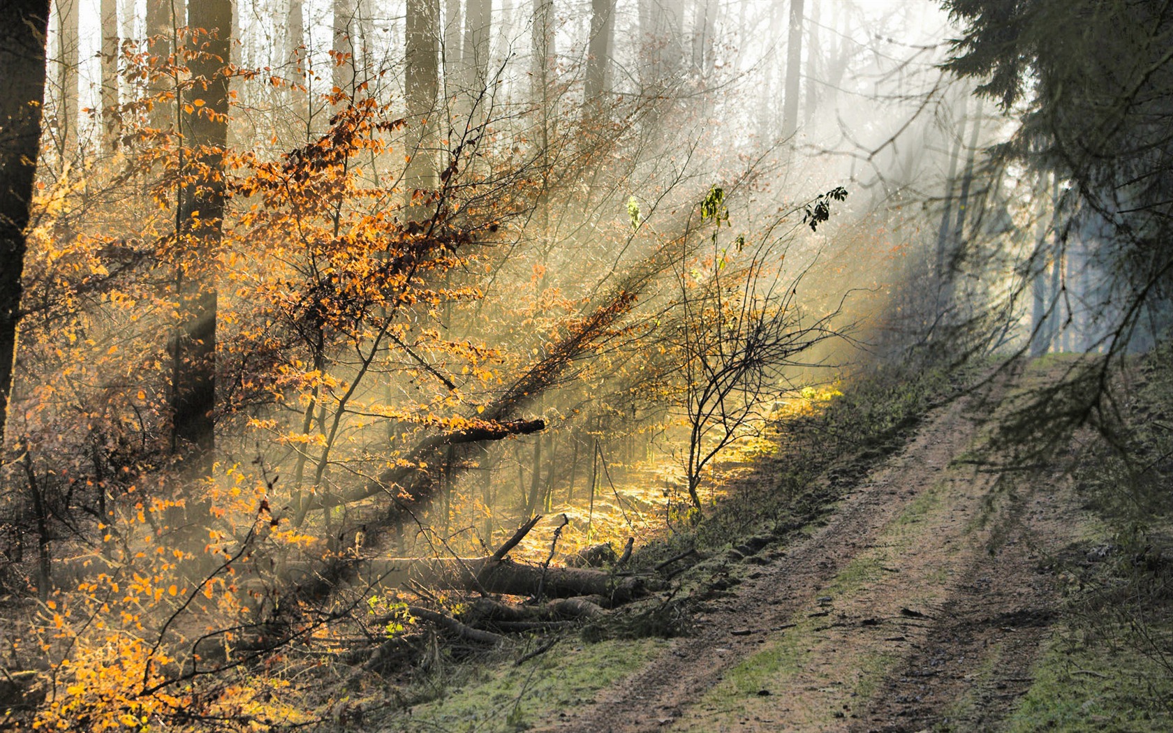 Wunderschön gerenderten Landschaften Wallpaper (4) #7 - 1680x1050