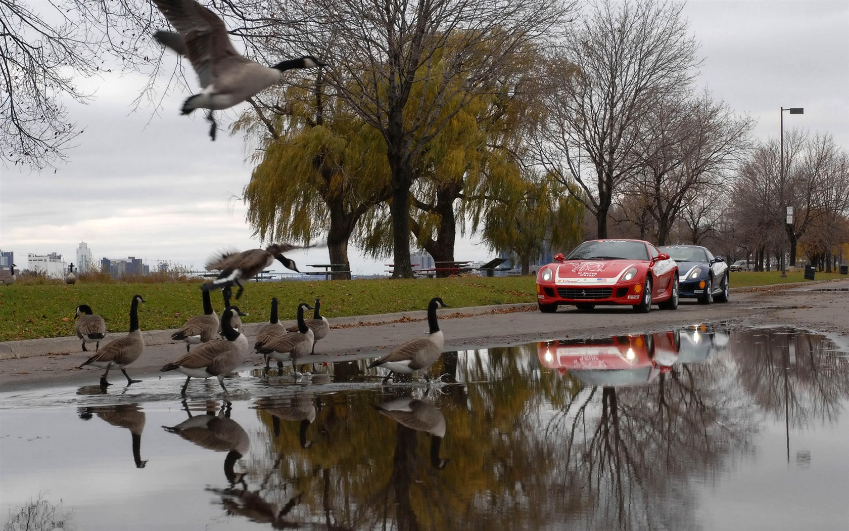 Ferrari wallpaper album (3) #14 - 1680x1050