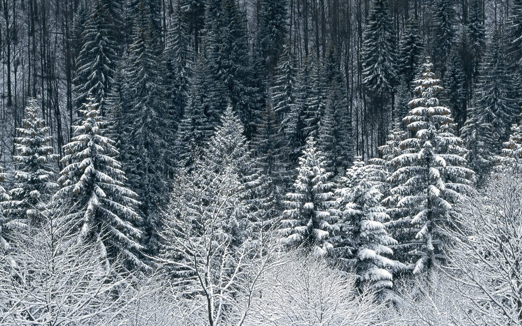 雪山雪景合集 壁纸(四)20 - 1680x1050