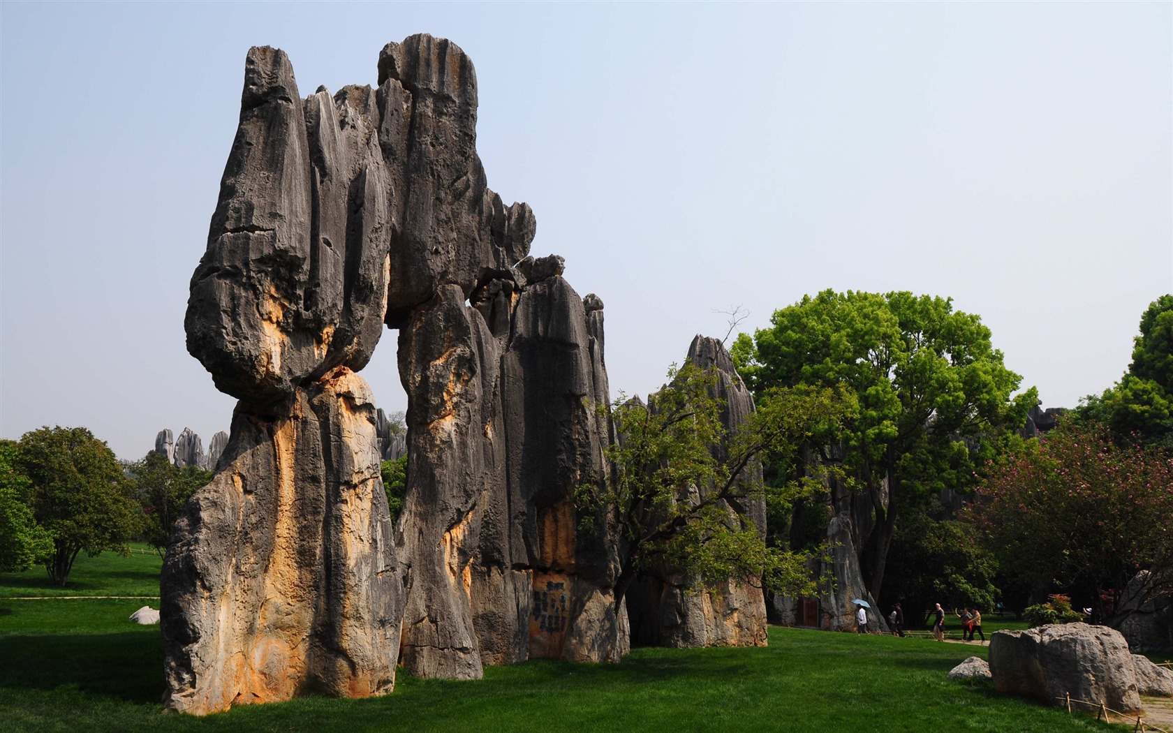 Stone Lesní v souladu Yunnan (1) (Khitan vlk práce) #2 - 1680x1050