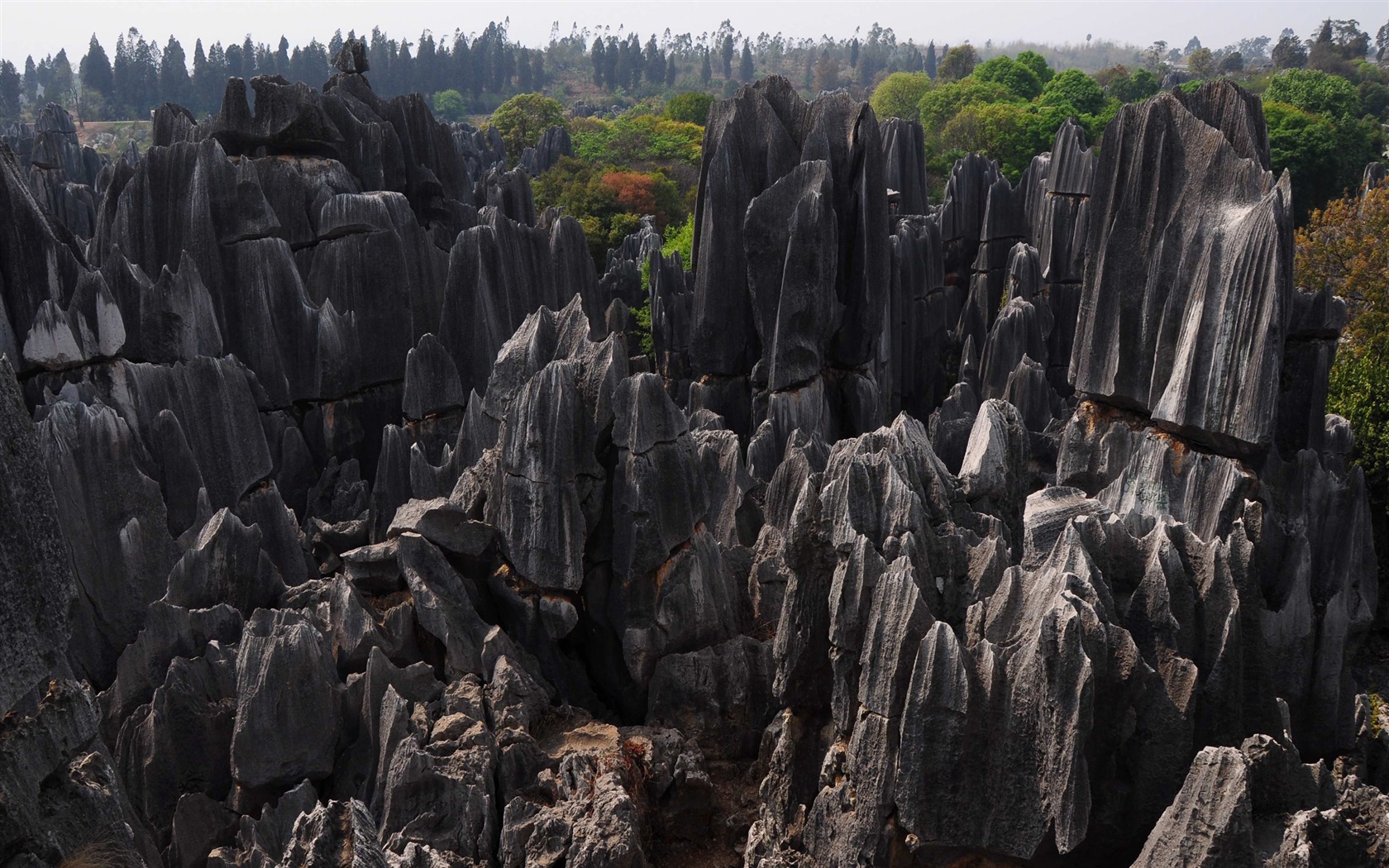 Stone Forest in Yunnan line (1) (Khitan wolf works) #16 - 1680x1050