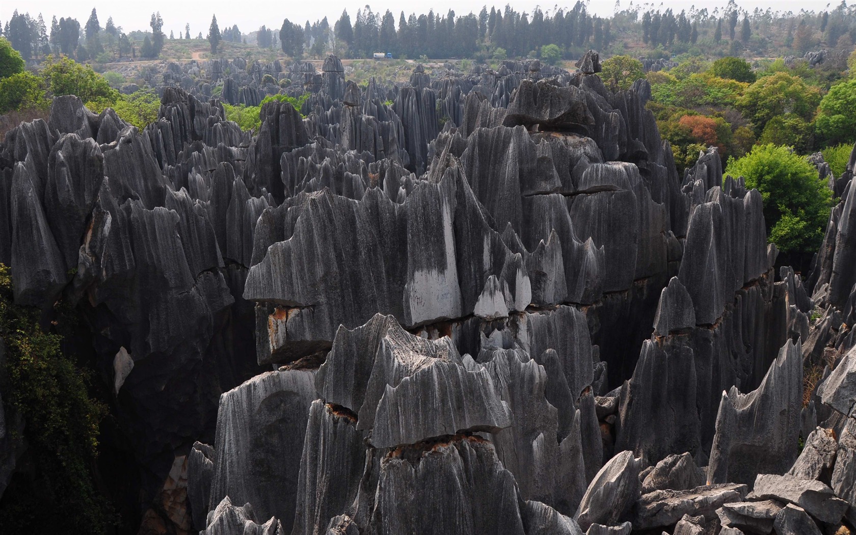 Stone Forest in Yunnan line (1) (Khitan wolf works) #17 - 1680x1050