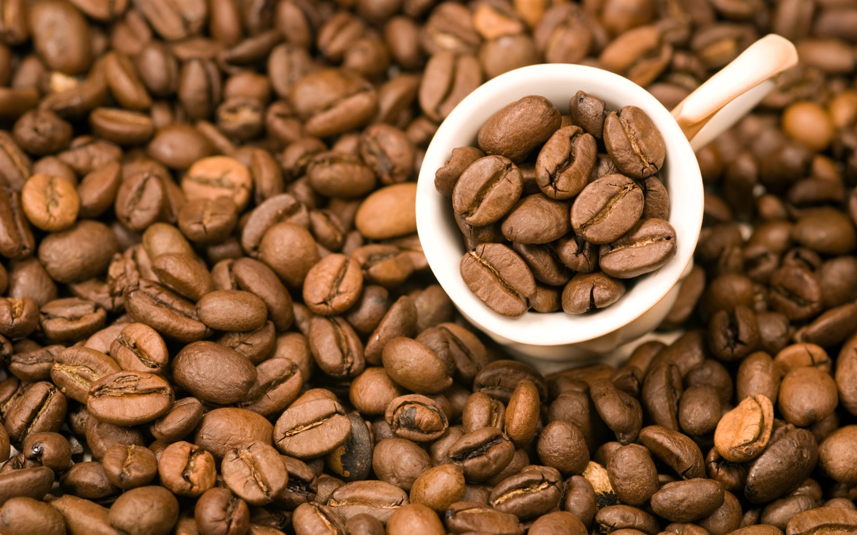 Coffee feature wallpaper (5) #20 - 1680x1050