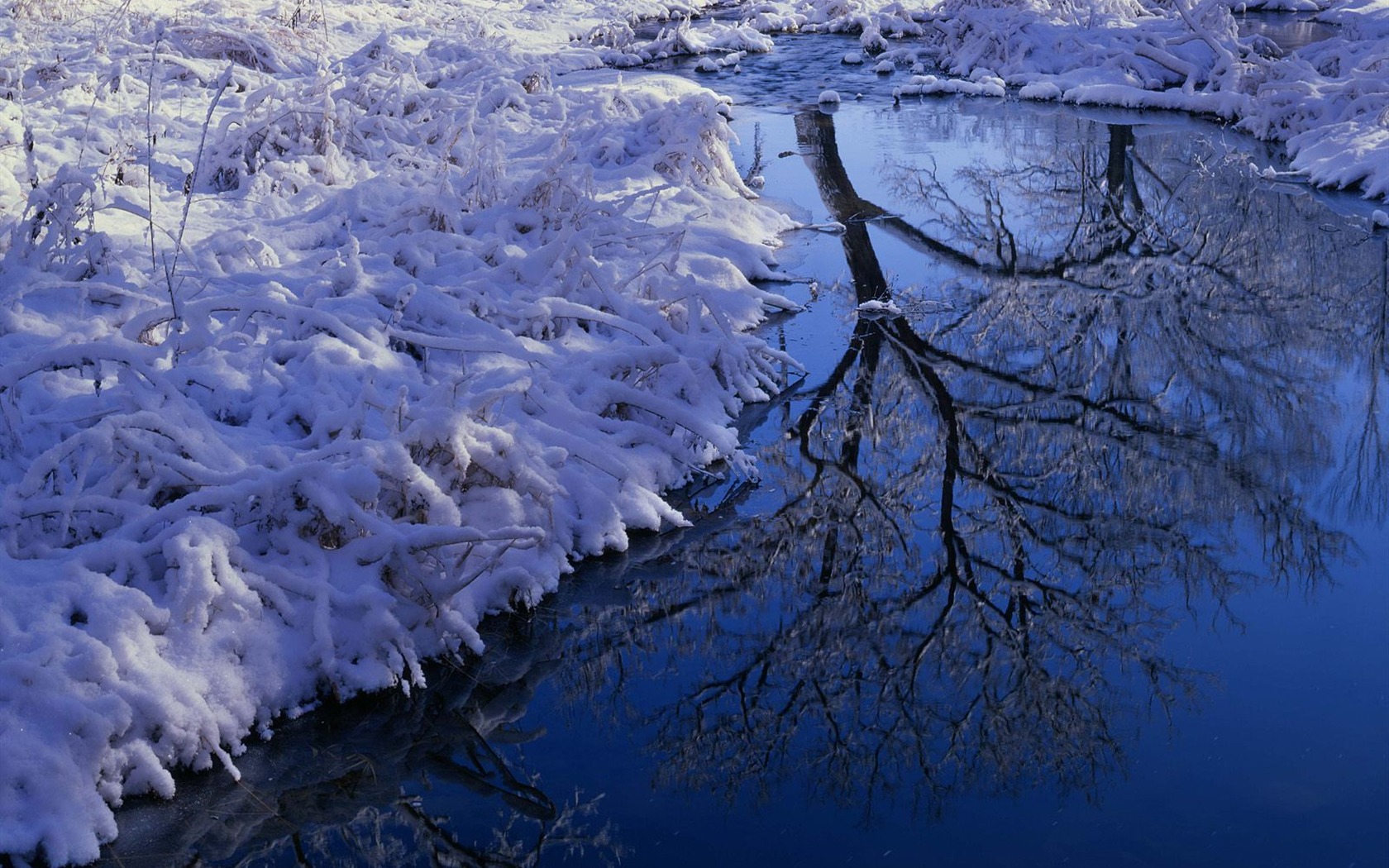 雪の壁紙コレクション (5) #9 - 1680x1050