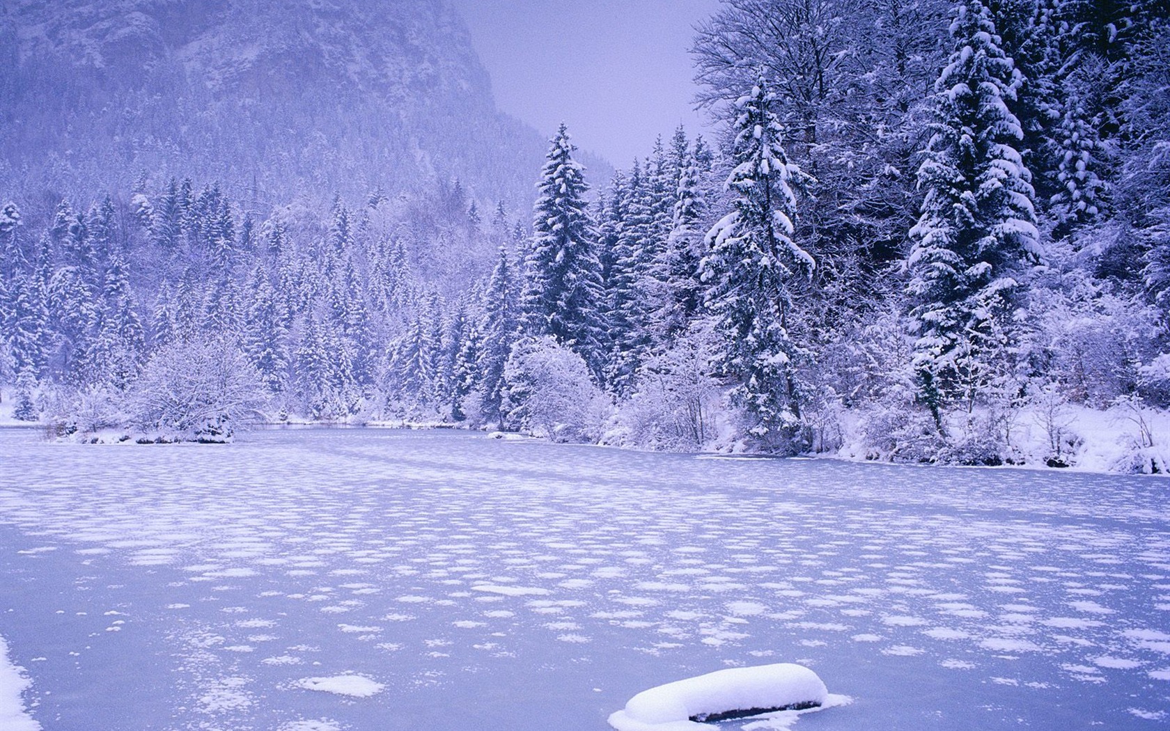 Snow wallpaper collection (5) #11 - 1680x1050