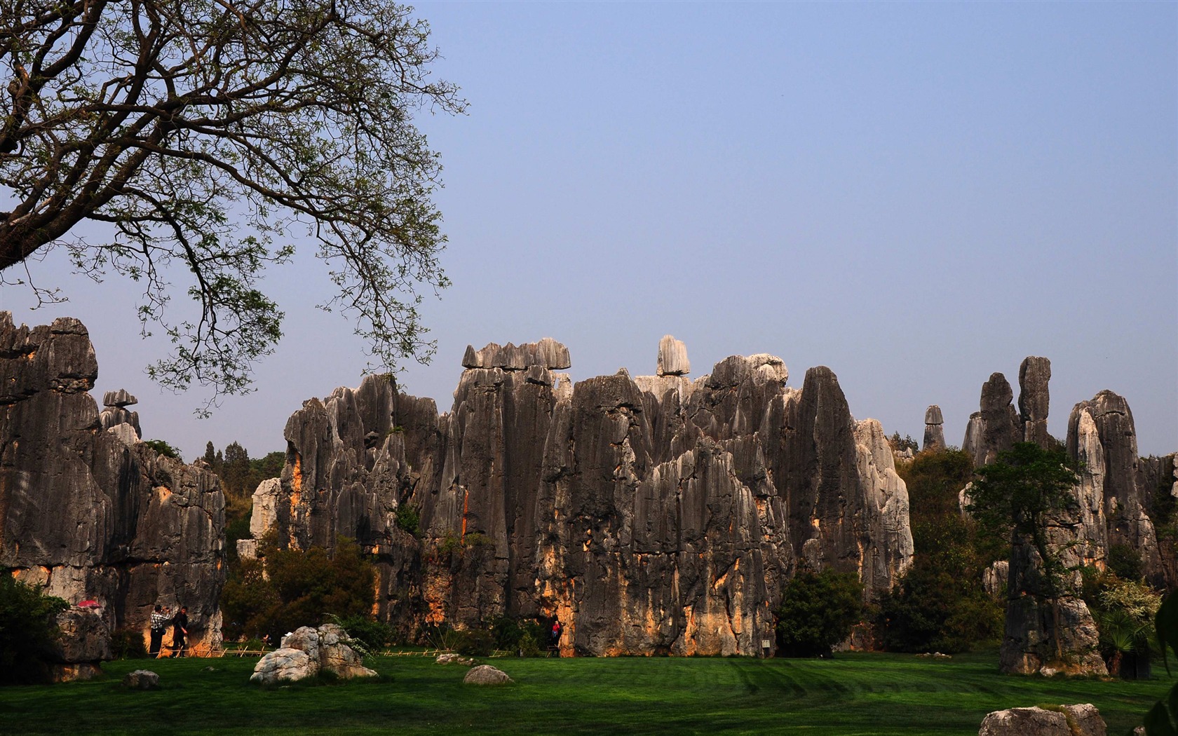 Stone Forest in Yunnan line (2) (Khitan wolf works) #19 - 1680x1050