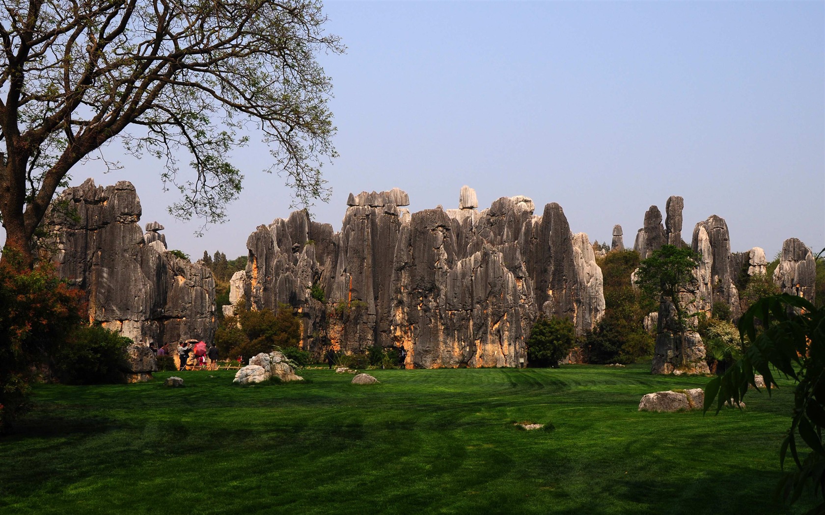 Stone Forest in Yunnan line (2) (Khitan wolf works) #20 - 1680x1050